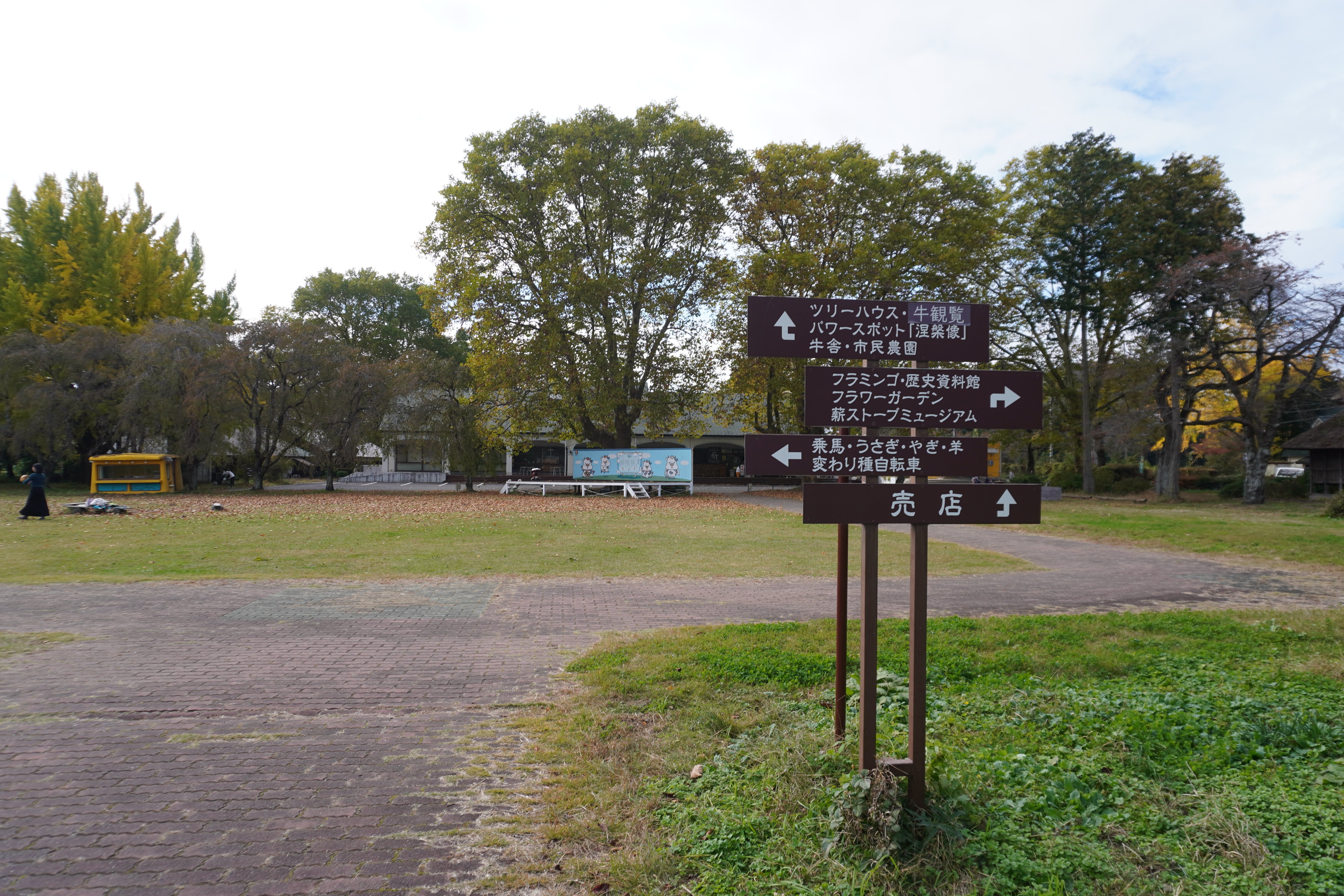 チェア 福島まき チェア 福島まき チェア 福島まき Trick star トリックスター zx6r 07,08