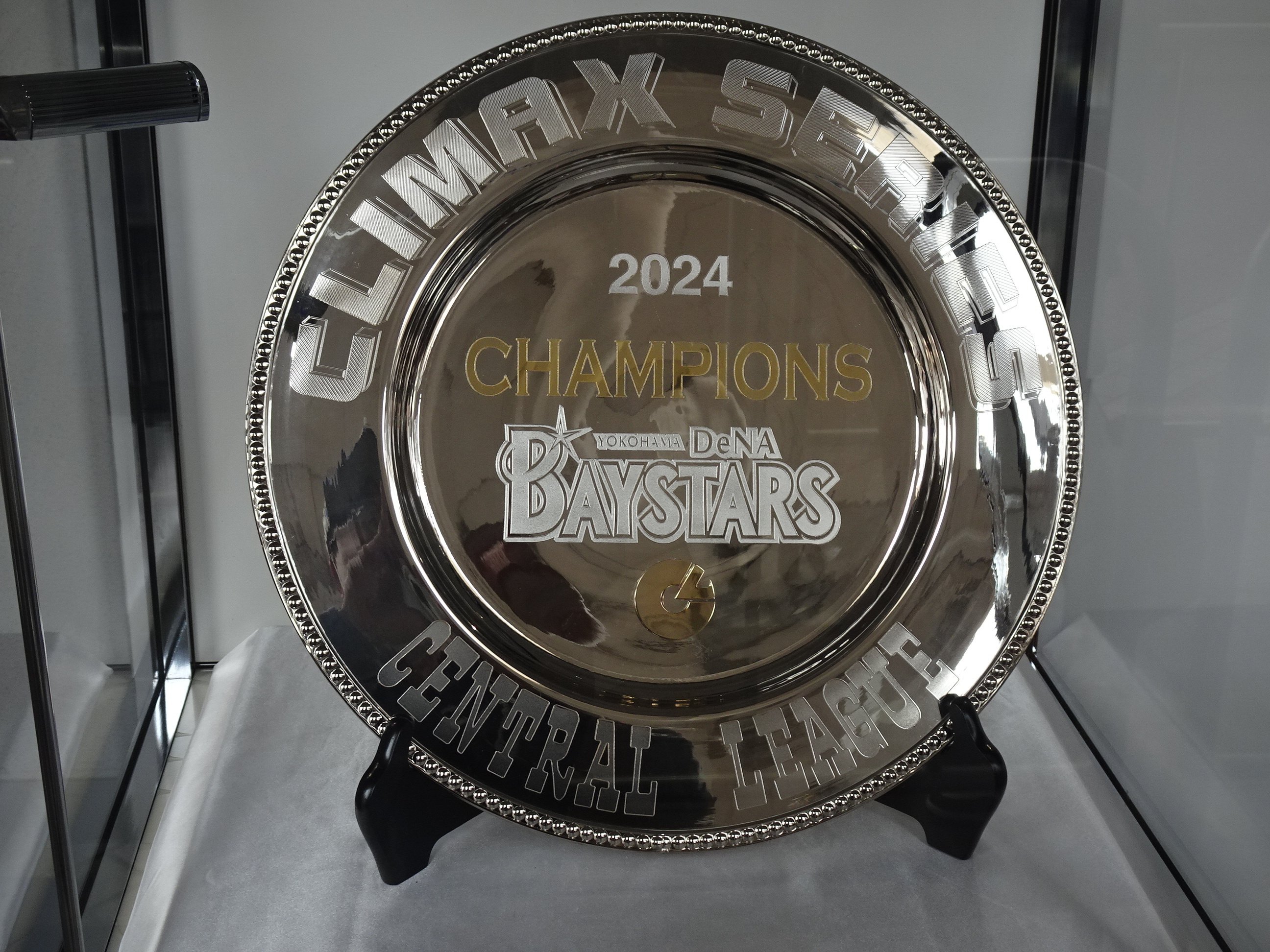 ベイスターズスタジアムスタンドタイプブラック 座席の種類 ｜ チケット ｜ 横浜DeNAベイスターズ