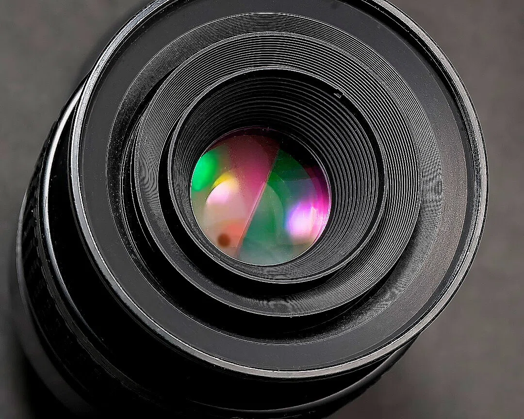 Nikon 1 V1 | Ai AF Micro-Nikkor 60mm f/2.8S｜夏と放し飼い