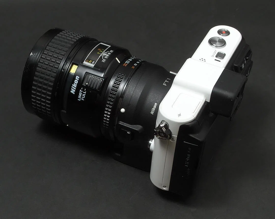 Nikon 1 V1 | Ai AF Micro-Nikkor 60mm f/2.8S｜夏と放し飼い
