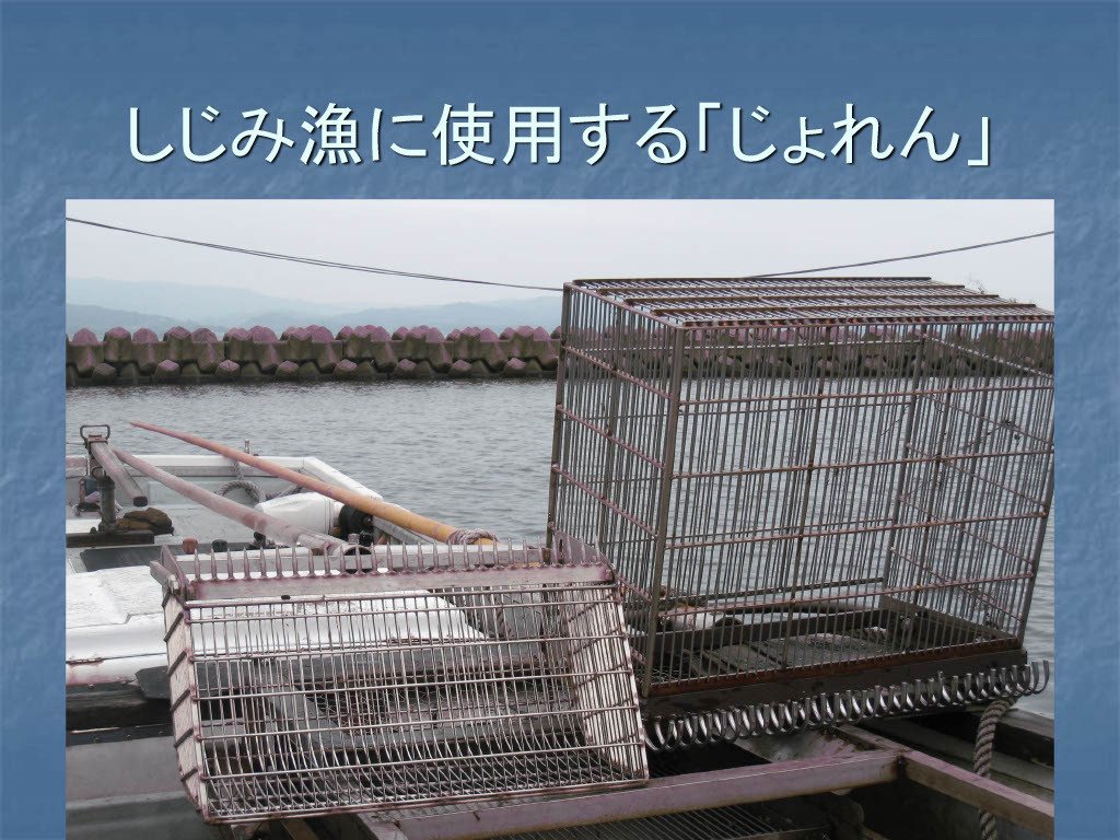 宍道湖のしじみ漁～日本一の漁獲量を支える、自主的な資源管理と