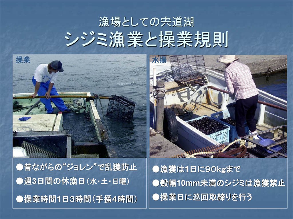 宍道湖のしじみ漁～日本一の漁獲量を支える、自主的な資源管理と