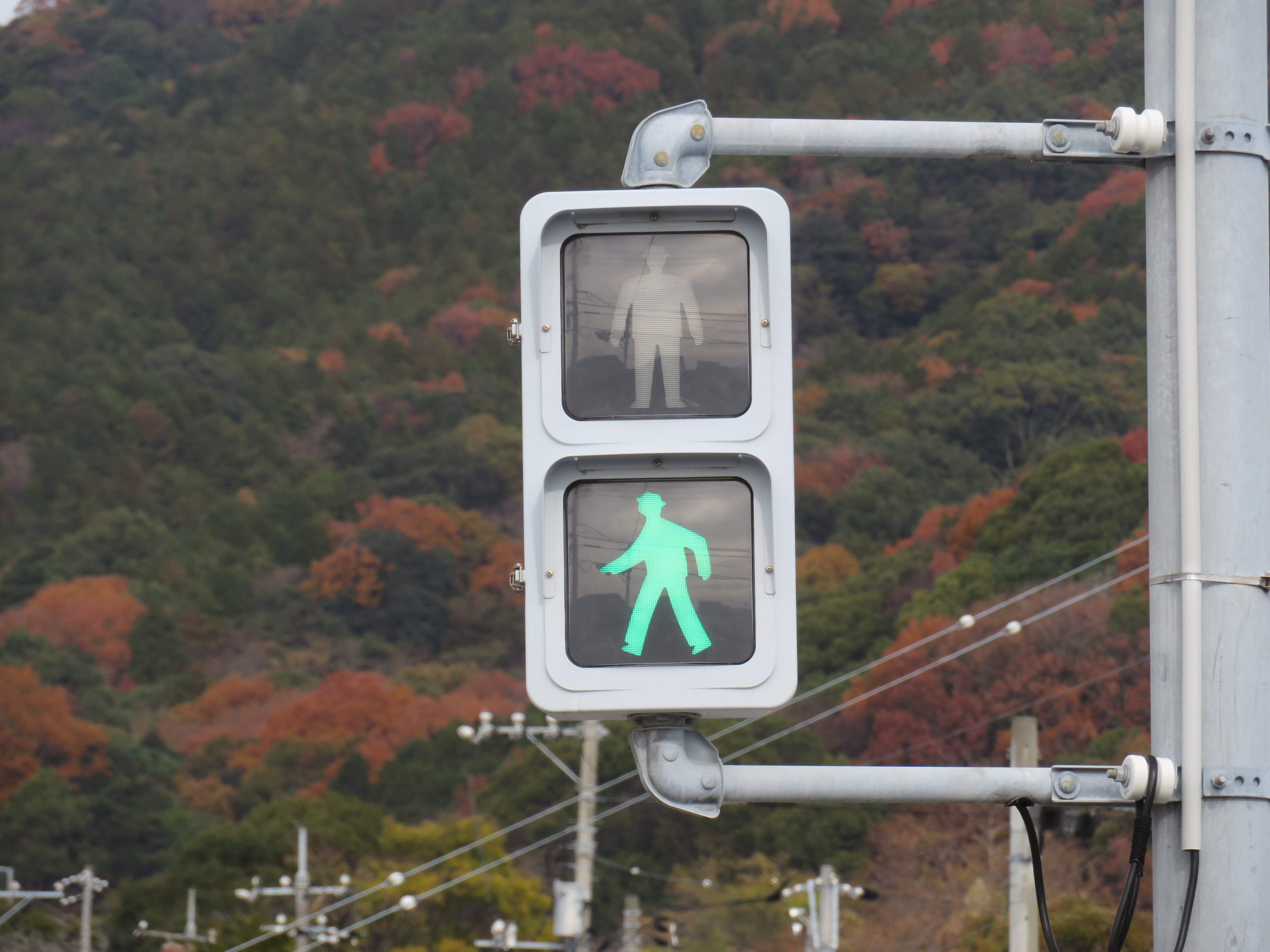 山口県に実在する信号機の形の全て(歩行者用)｜るーと