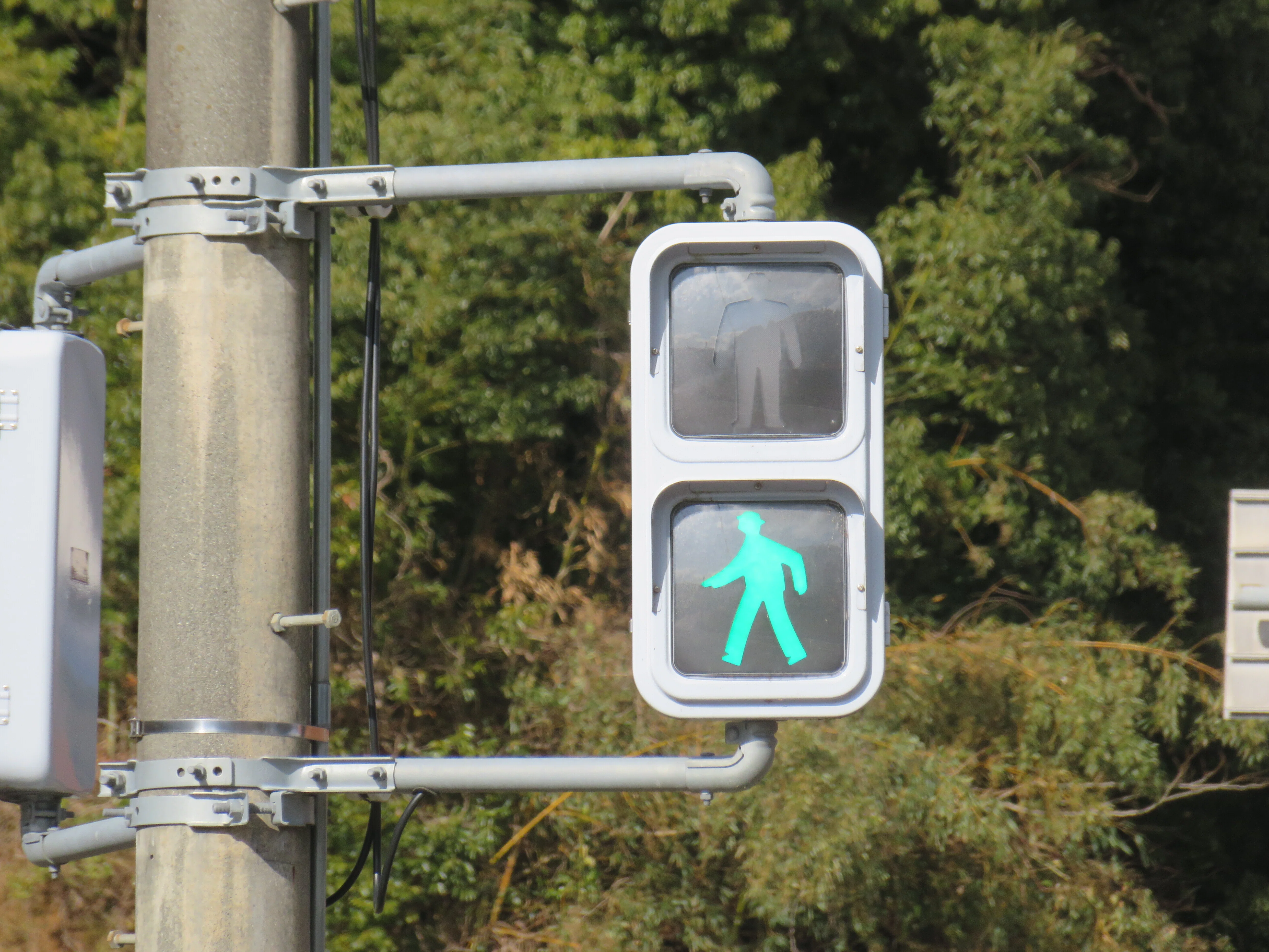 山口県に実在する信号機の形の全て(歩行者用)｜るーと