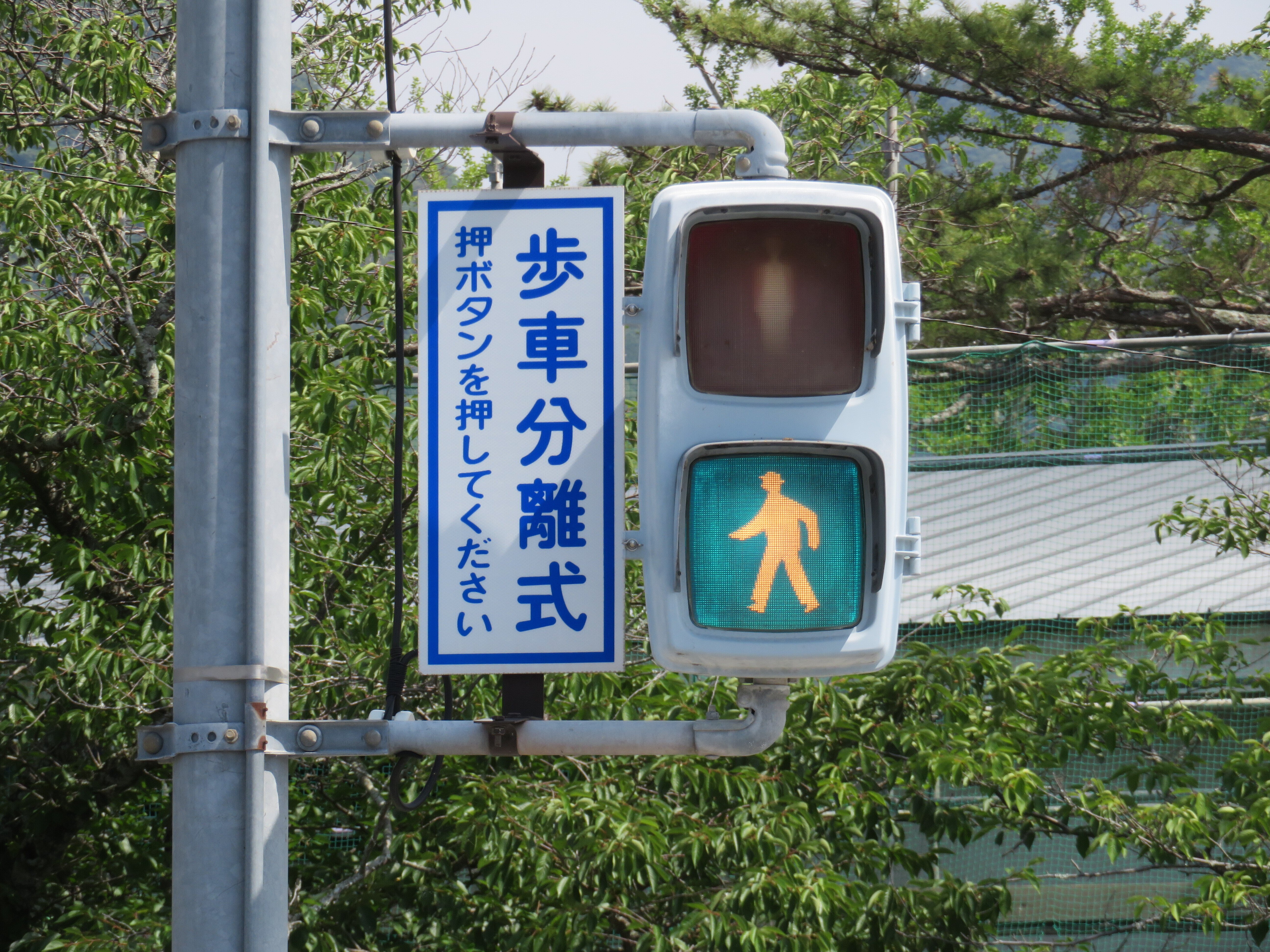 山口県に実在する信号機の形の全て(歩行者用)｜るーと