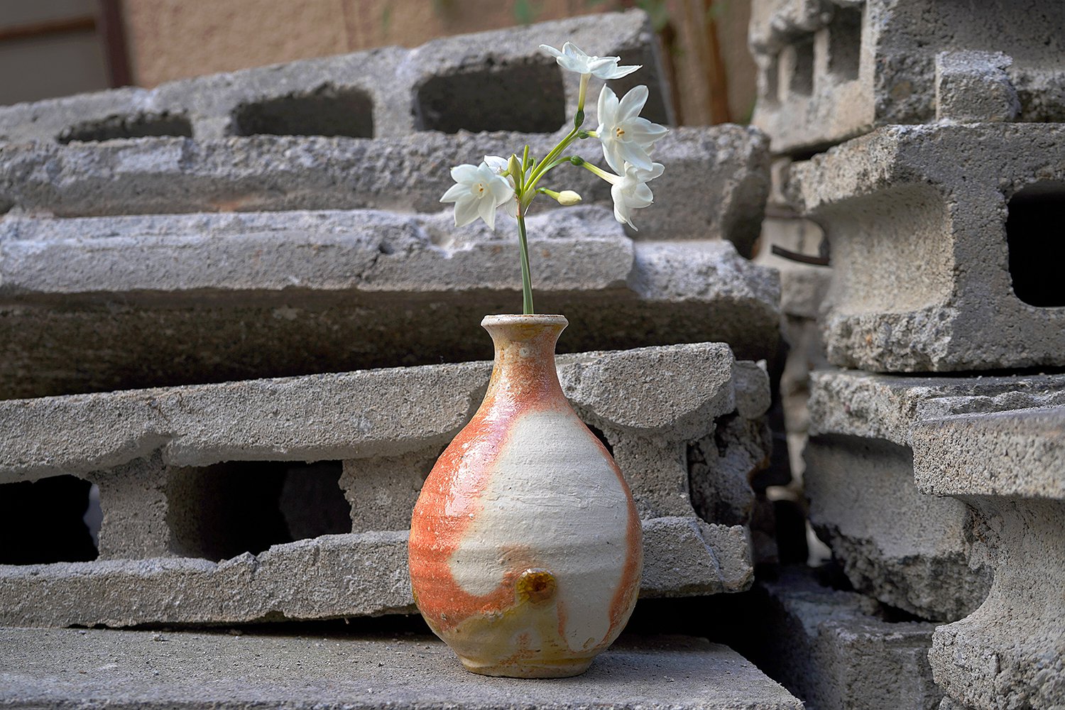 篠原希個展『すきやねん』 / 作家インタビュー｜白白庵