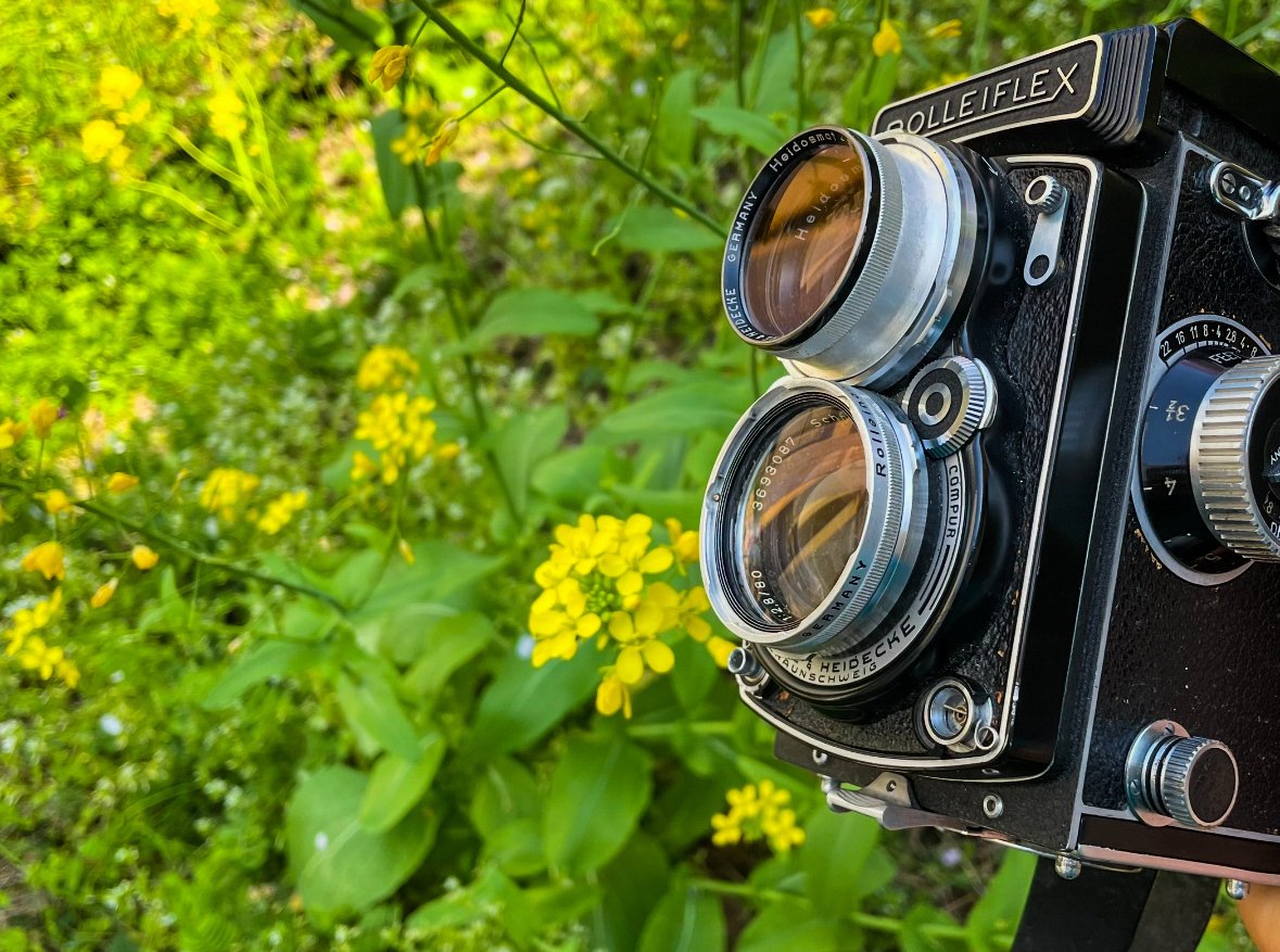 70年前の二眼レフカメラ・ローライフレックスで春を写す｜Sampo