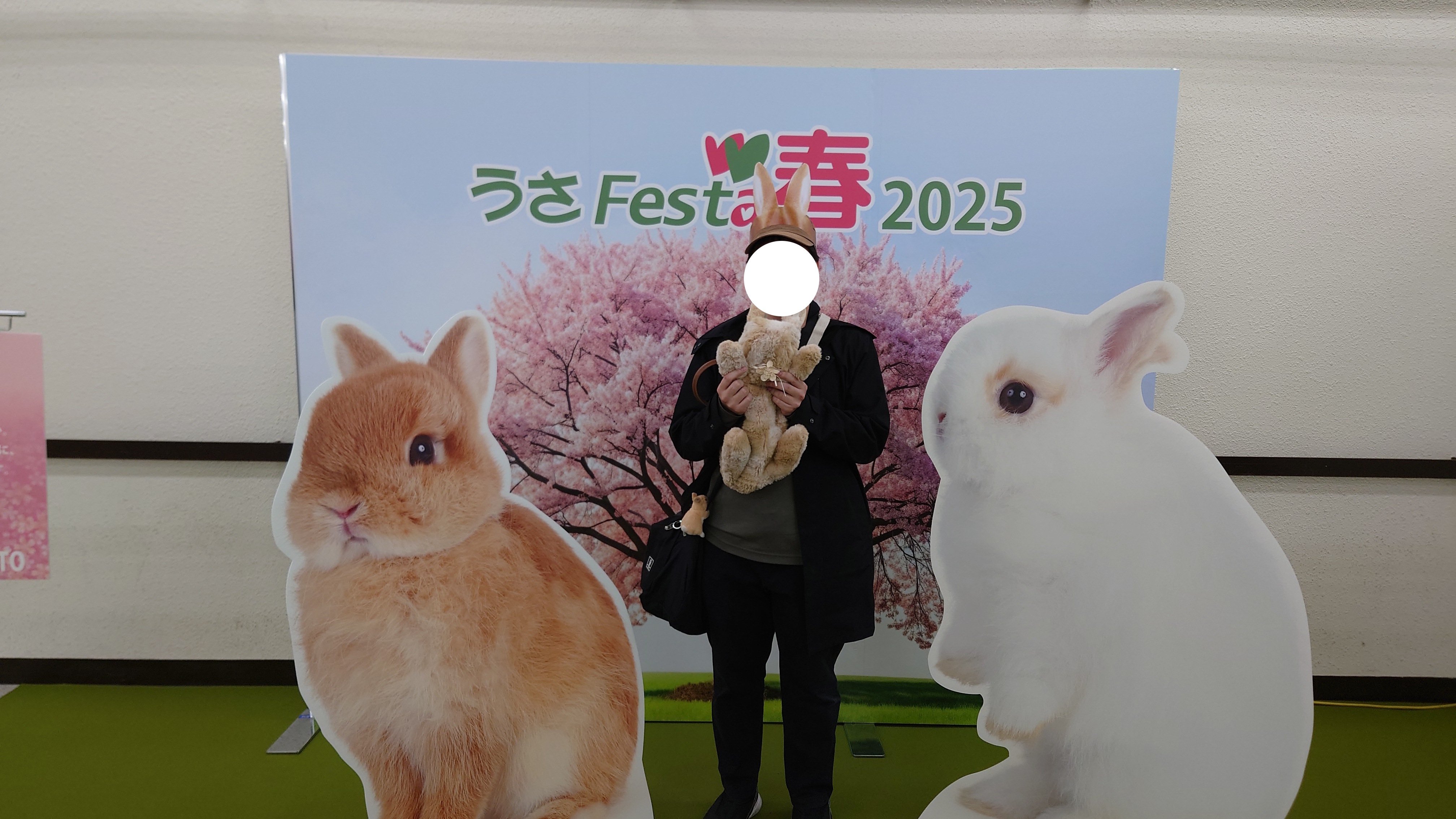 うさぎさん同伴で楽しめる！うさFesta春2025【イベントレポート】｜れ