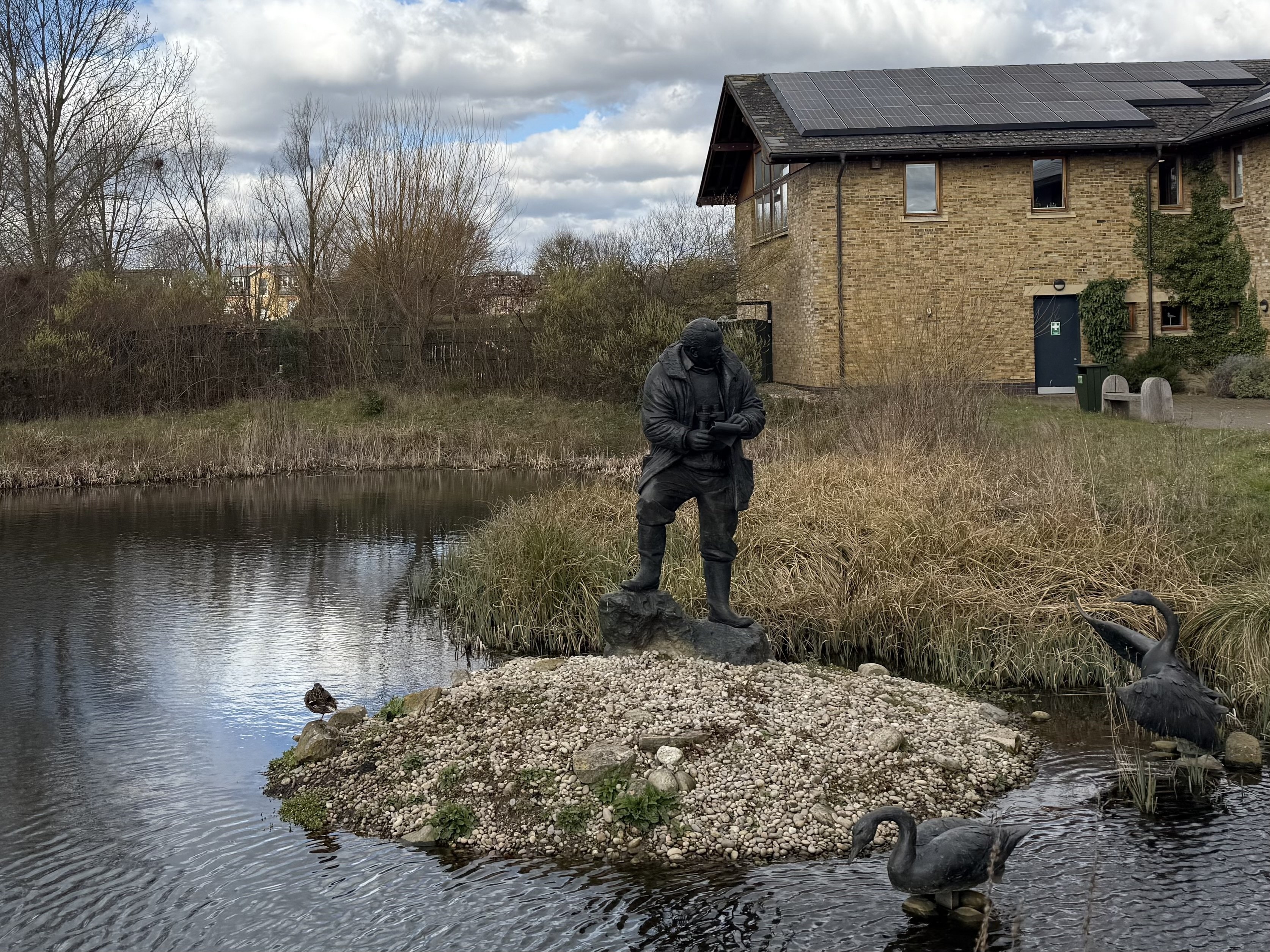 ロンドンの野鳥の楽園WWTウェットランド・センターに行ってきた｜のん