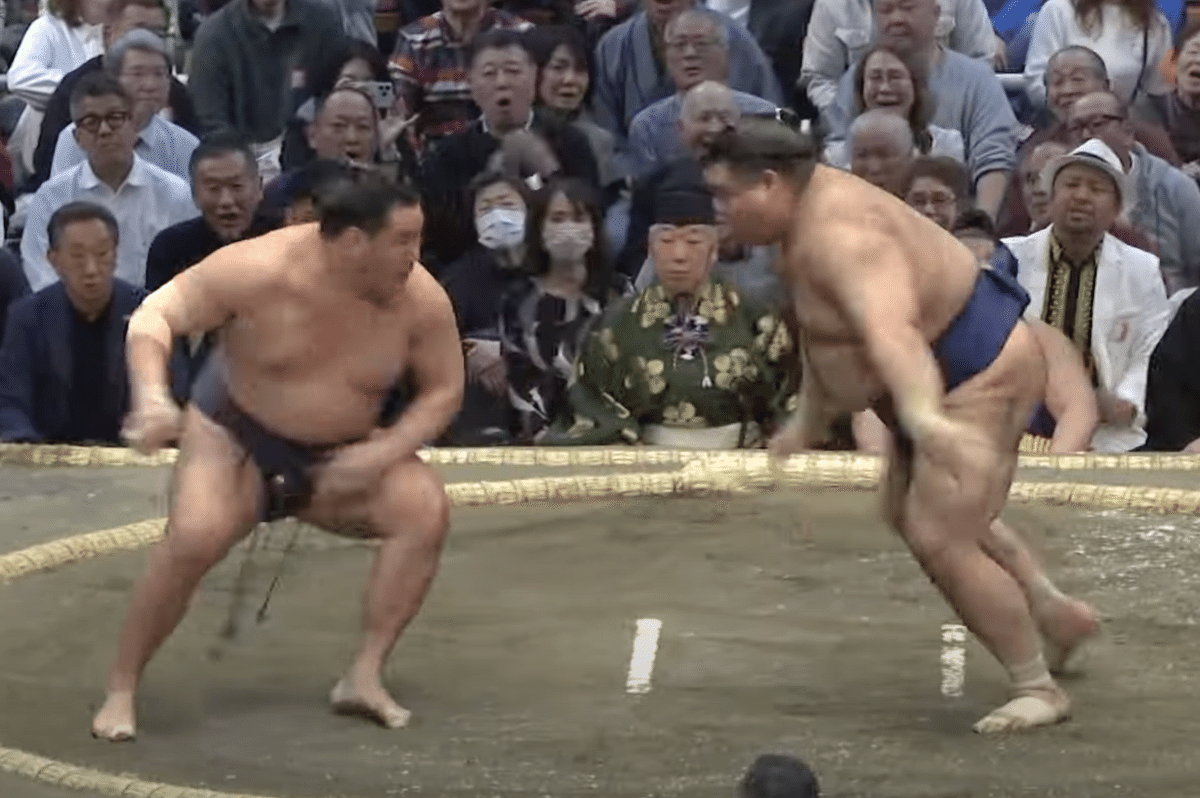 豊昇龍　相撲　反物 反物・豊昇龍（白地、登り竜） - 浅草 招き屋