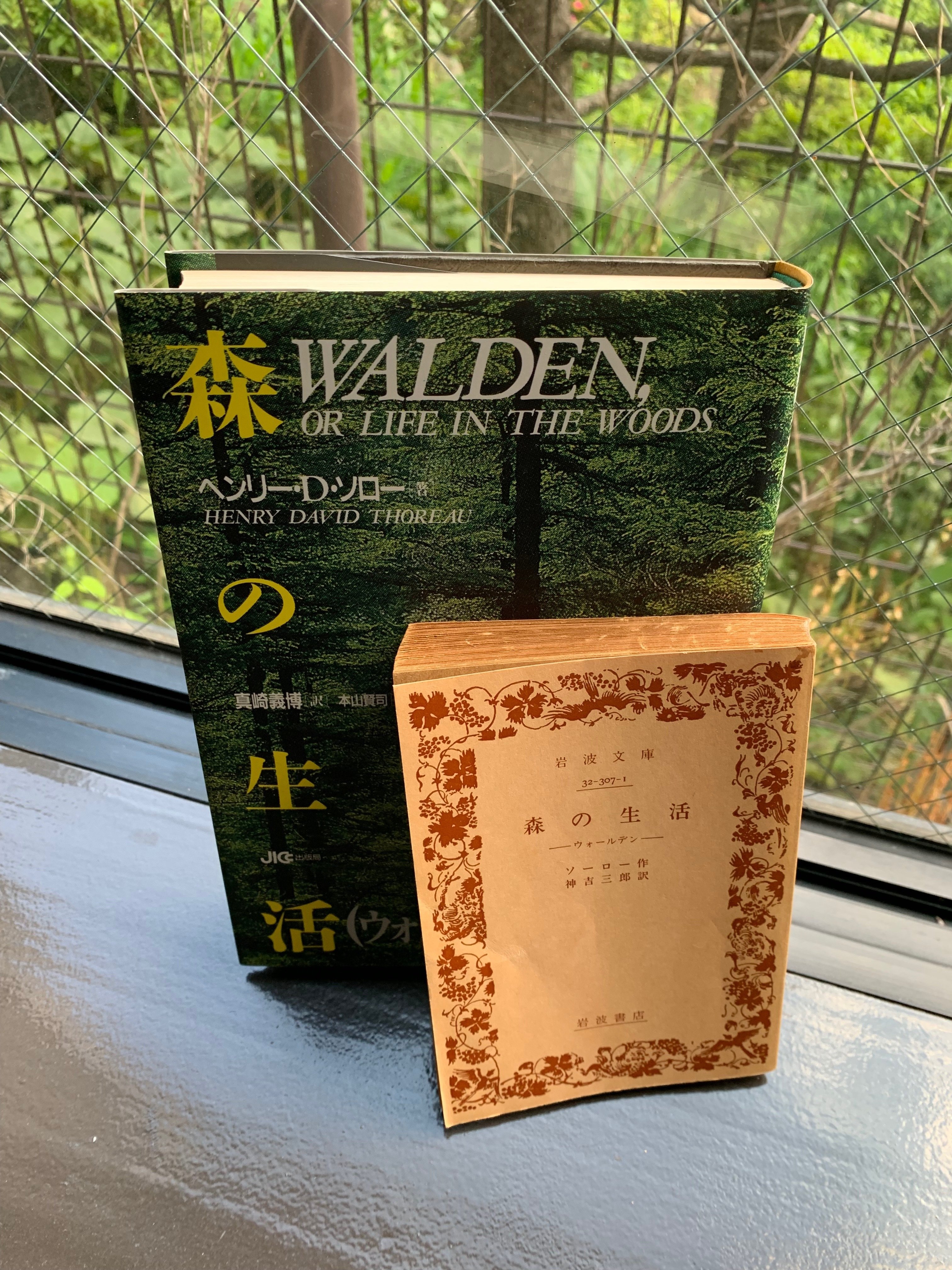 世界クルマ旅】「宝島」で『森の生活』新訳連載を読みウォール