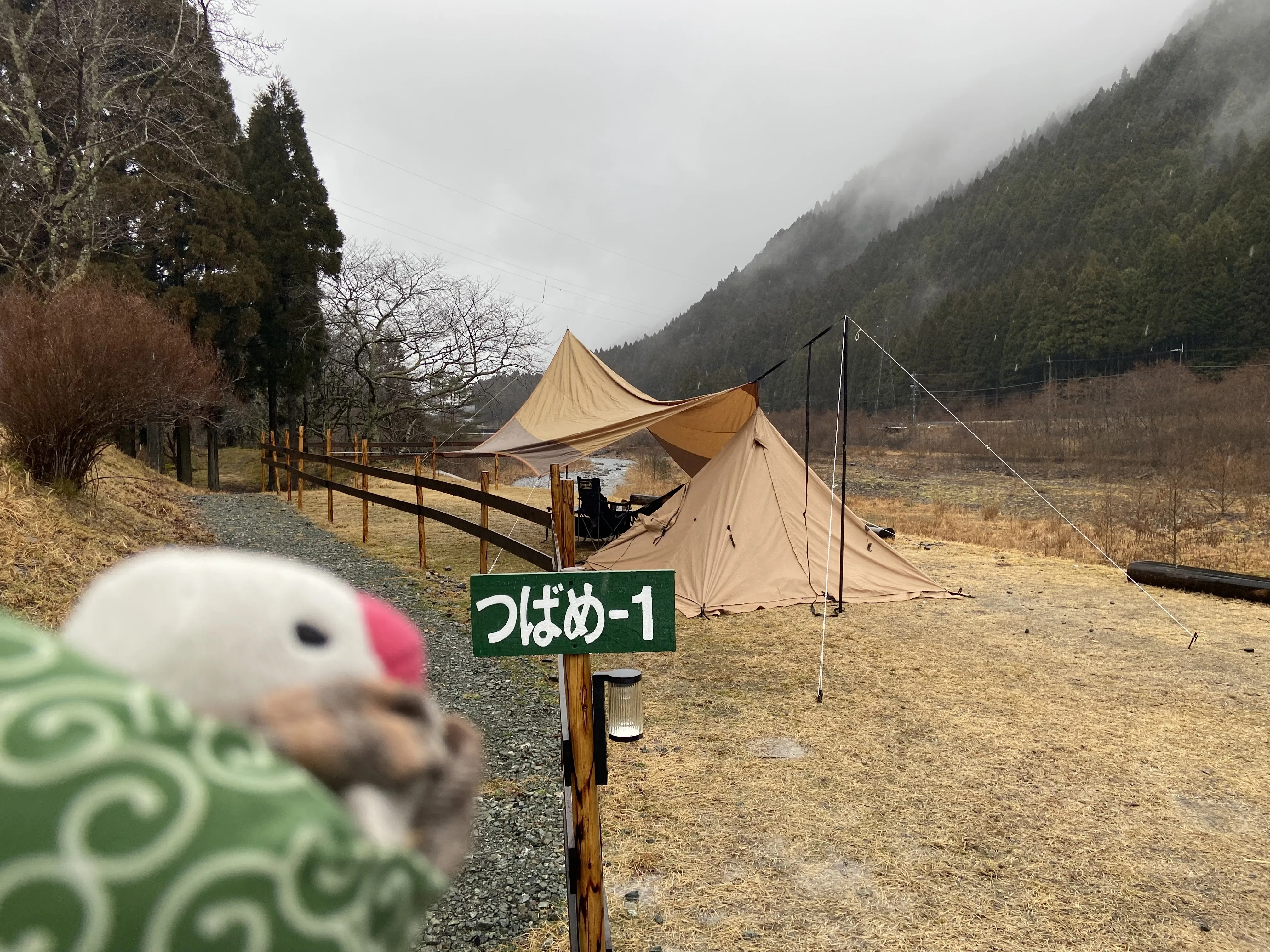 316キャンプは滋賀県かもしか葛川 森のキャンプ場でガッツリお篭り｜おいも