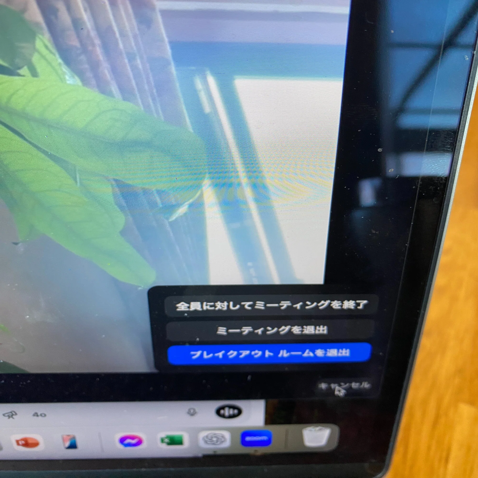 zoomメインに戻る｜くこの実