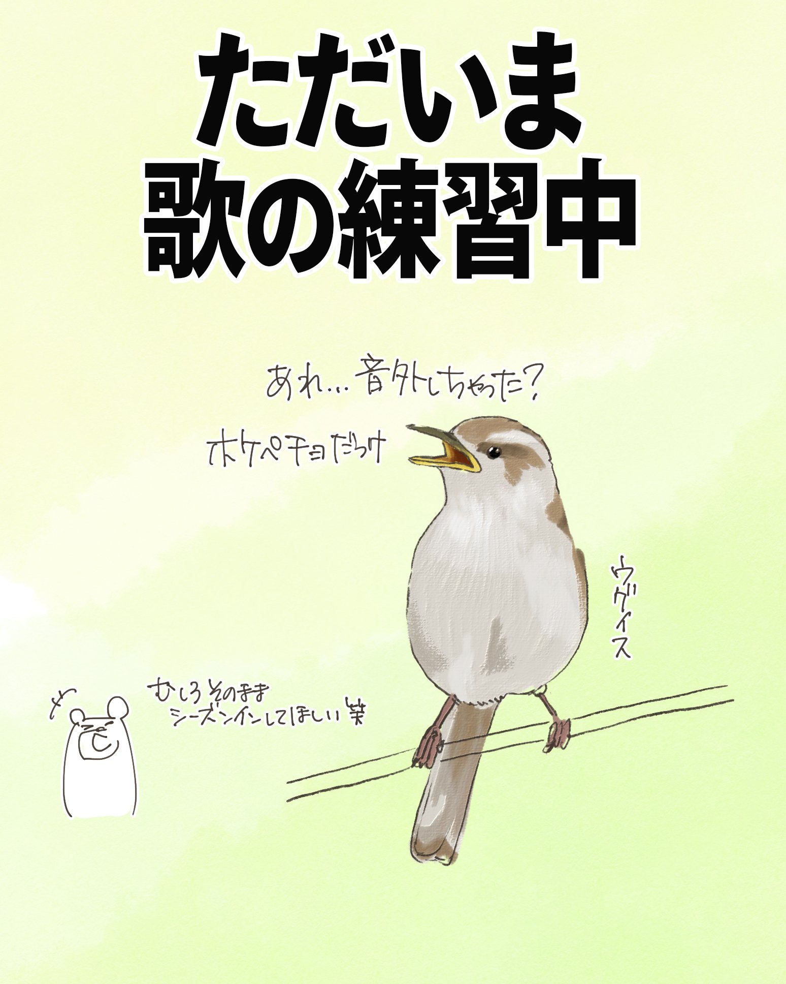 ただいま歌の練習中｜ウグイス｜くますけ｜自然ガイド・クリエイター