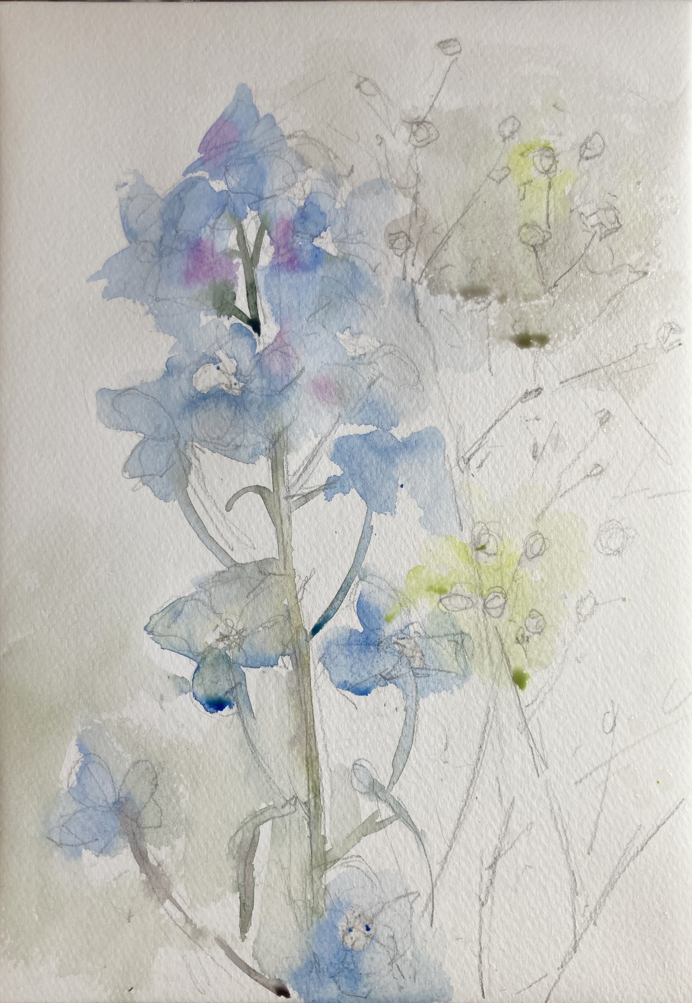 水彩画　花 Noriko | Ranunculuses 41x31cm #ラナンキュラス