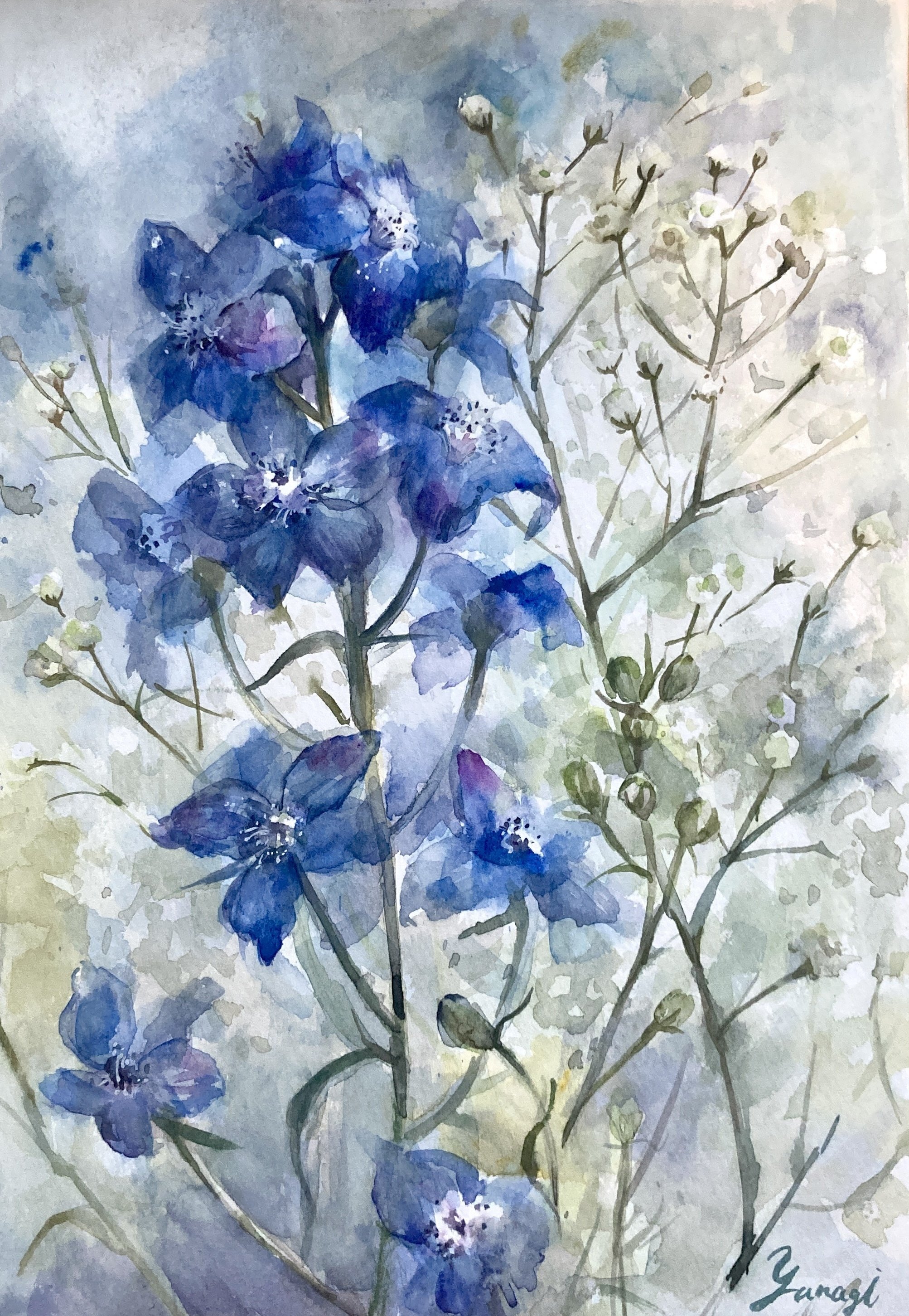 メイキング】デルフィニウムとかすみ草【水彩画】｜柳@水彩画家