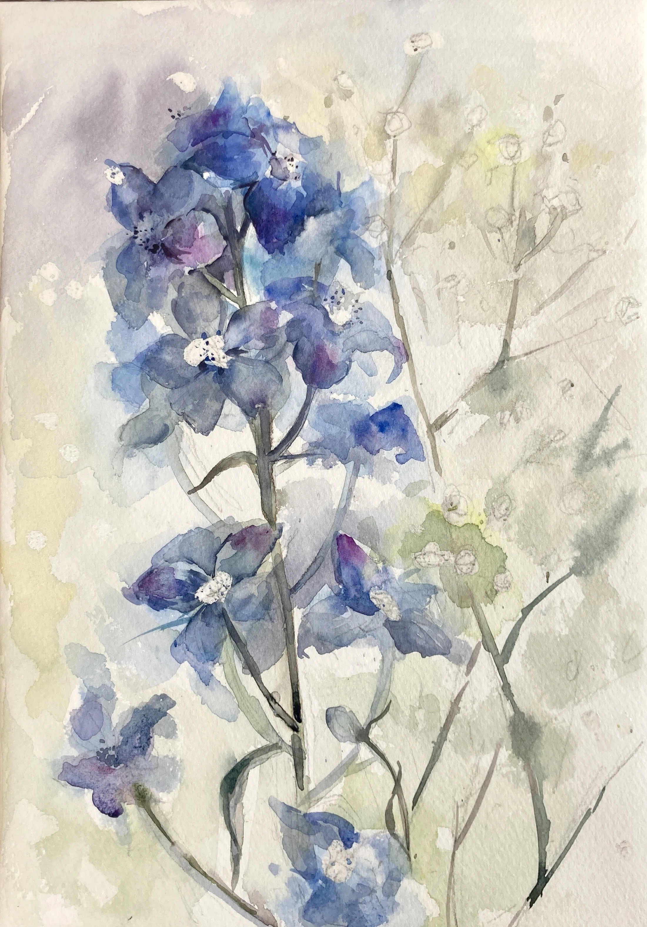 水彩画 水彩画 植物細密画「デルフィニューム」 真作 植物細密画
