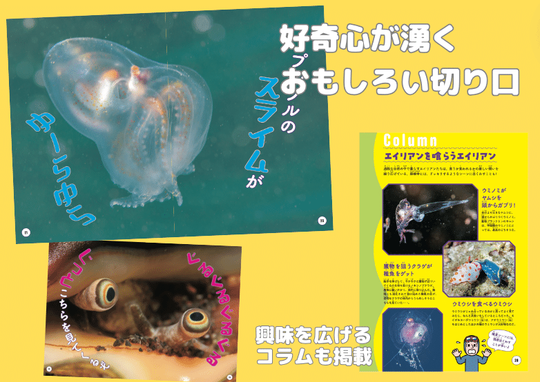 海のエイリアンを探せ！チリモンBOOKS』4月19日（土）開催！｜SAKANA