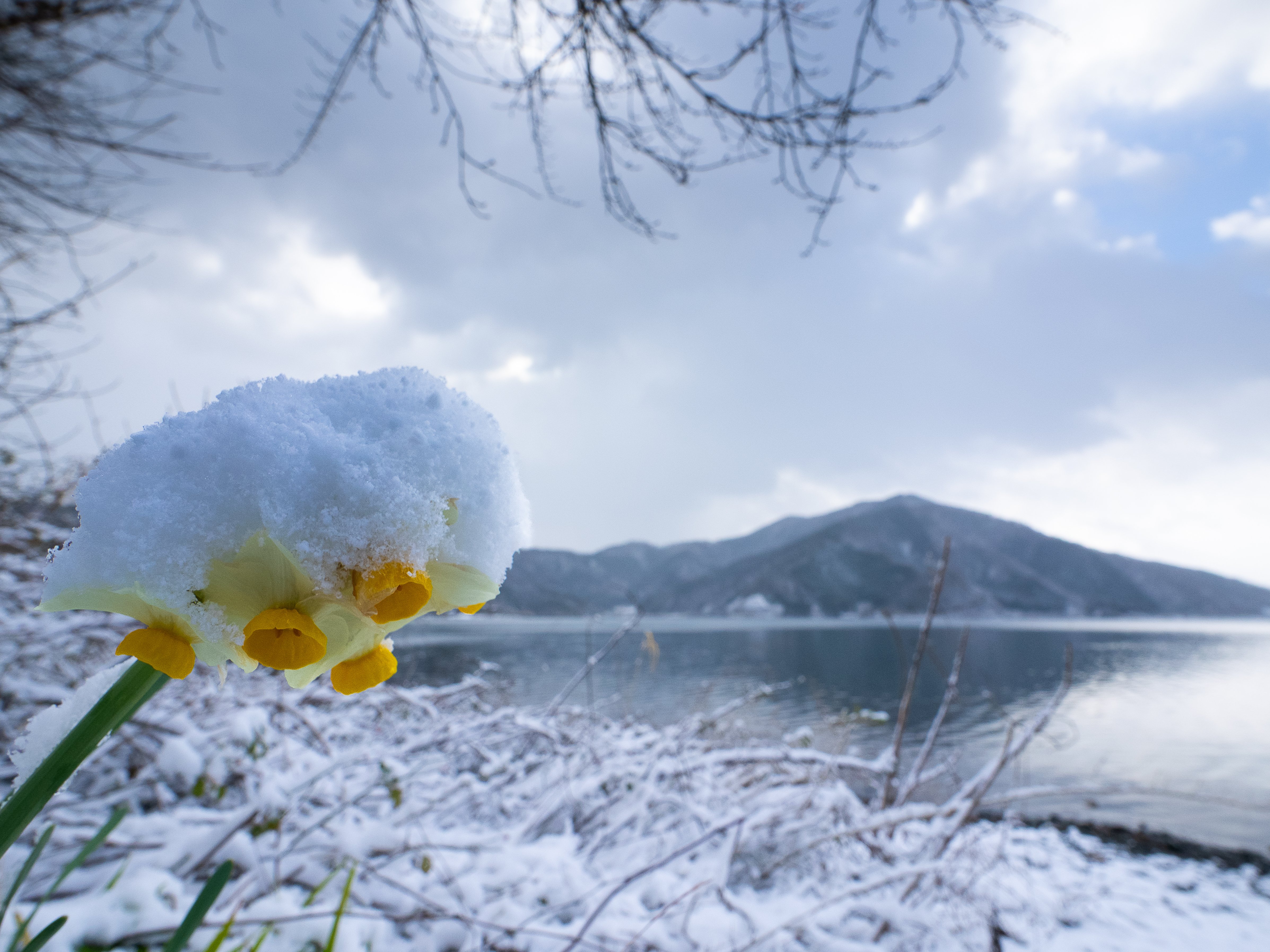 身近な自然が特別に-女子大生の昆虫写真道#2 ～ミクロな世界にワクワク