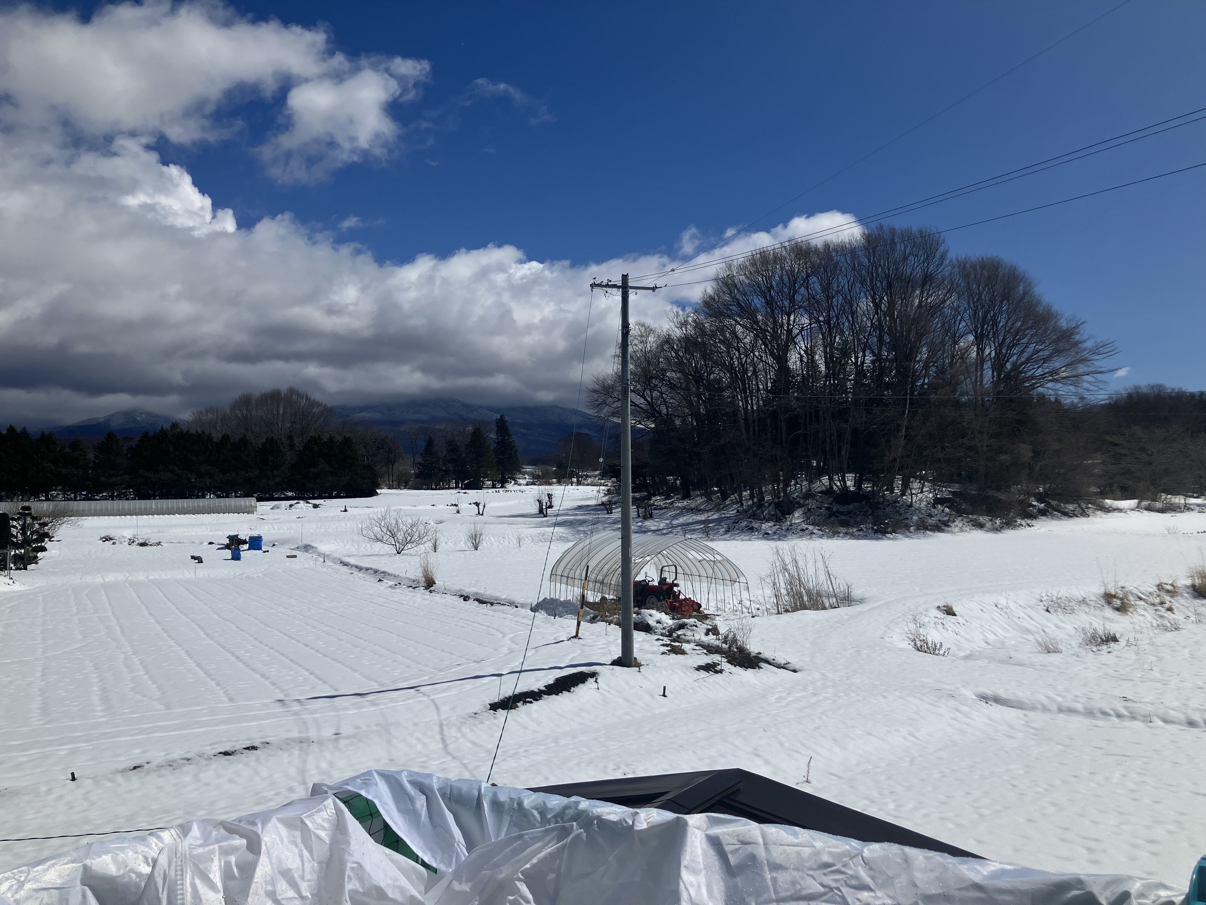 専用 茨招募36点 参加募集情報 « 水戸市勤労者福祉サービスセンター