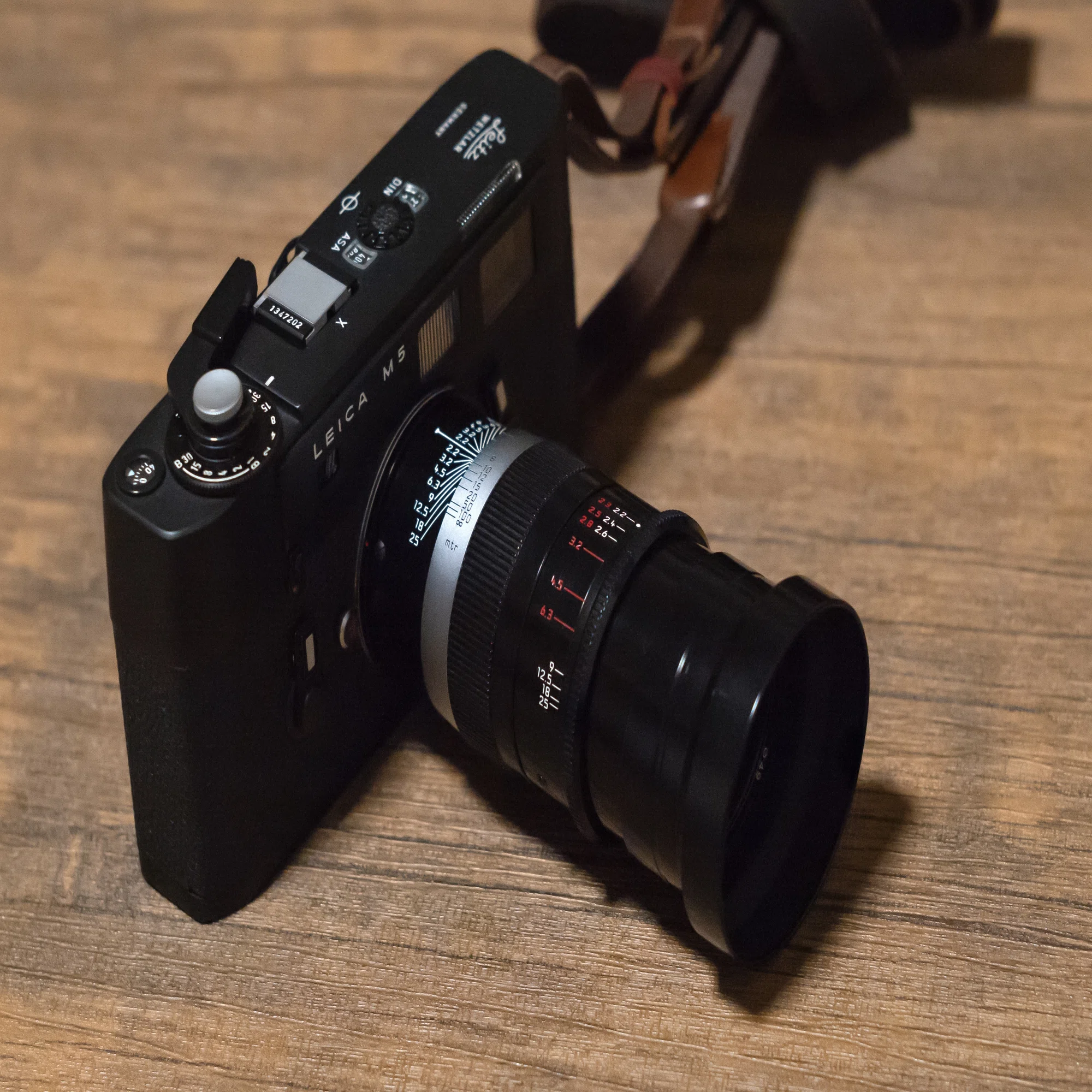 美しさ極まる慈愛の眼差し『Leica Thambar-M 90mm f2.2』｜masato