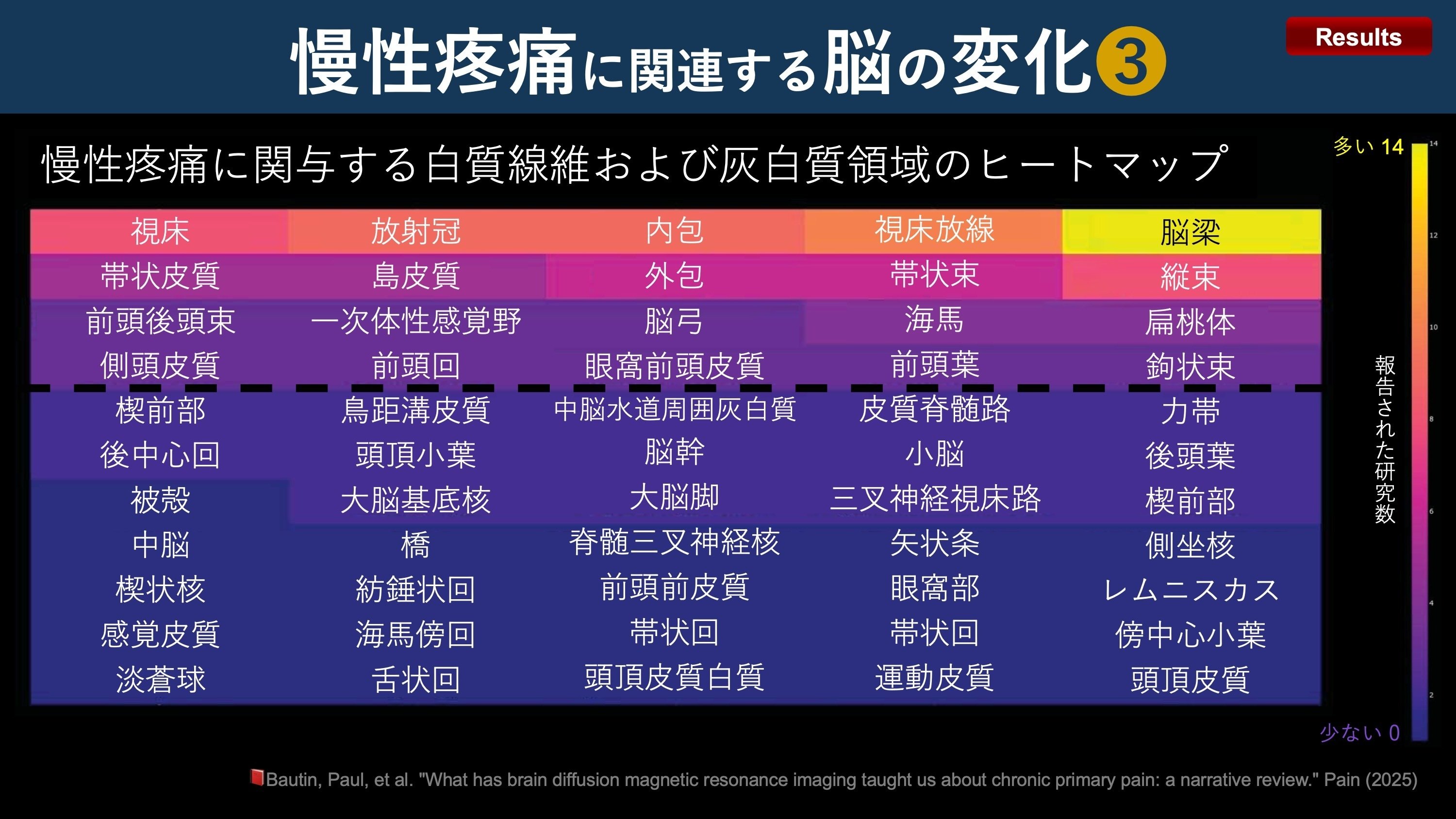 慢性疼痛と脳変化｜Super Human | 理学療法士／保健学博士 Ph.D.