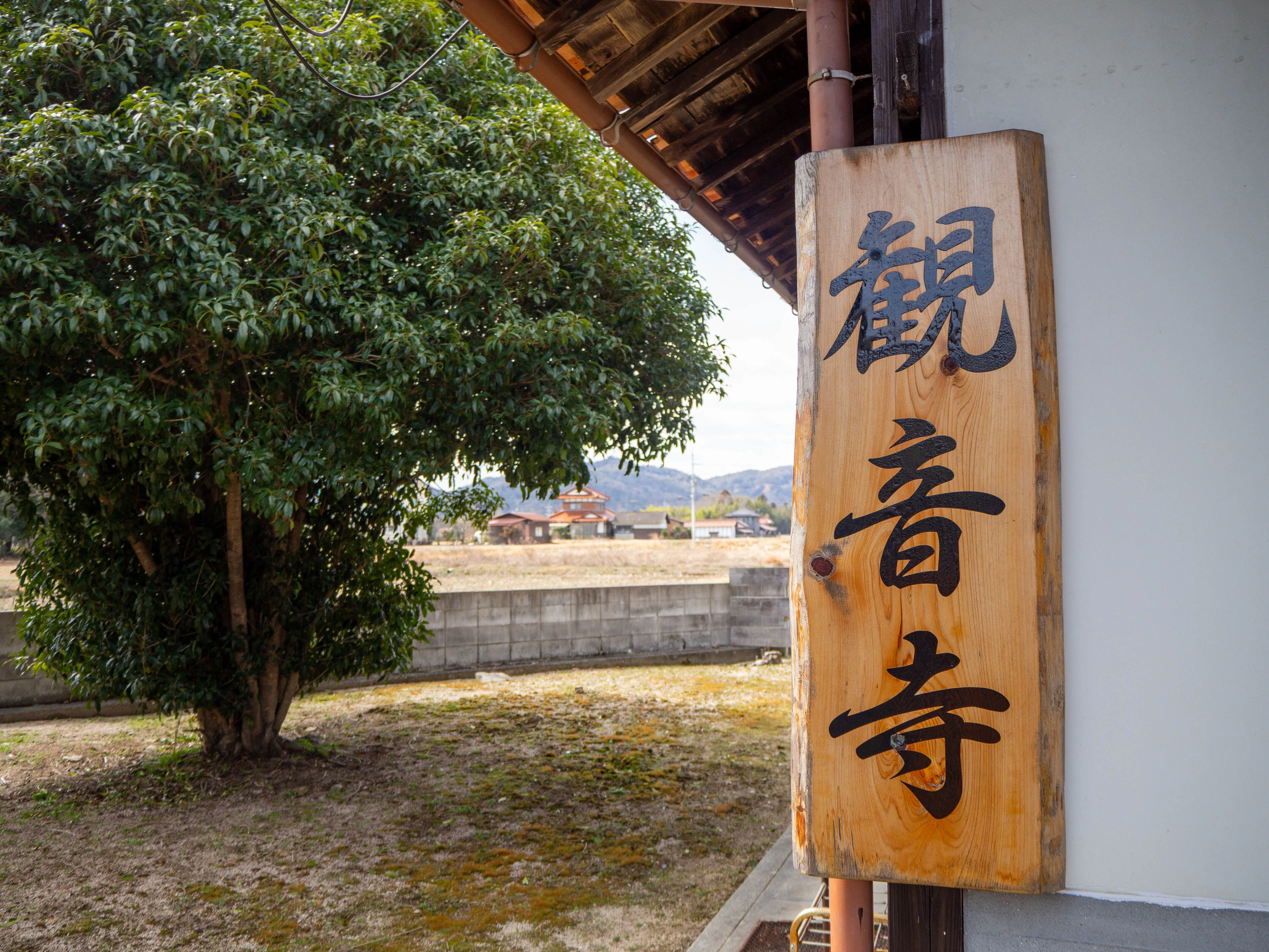 15 観音寺（東広島市八本松町）-Temple｜古川いづみ