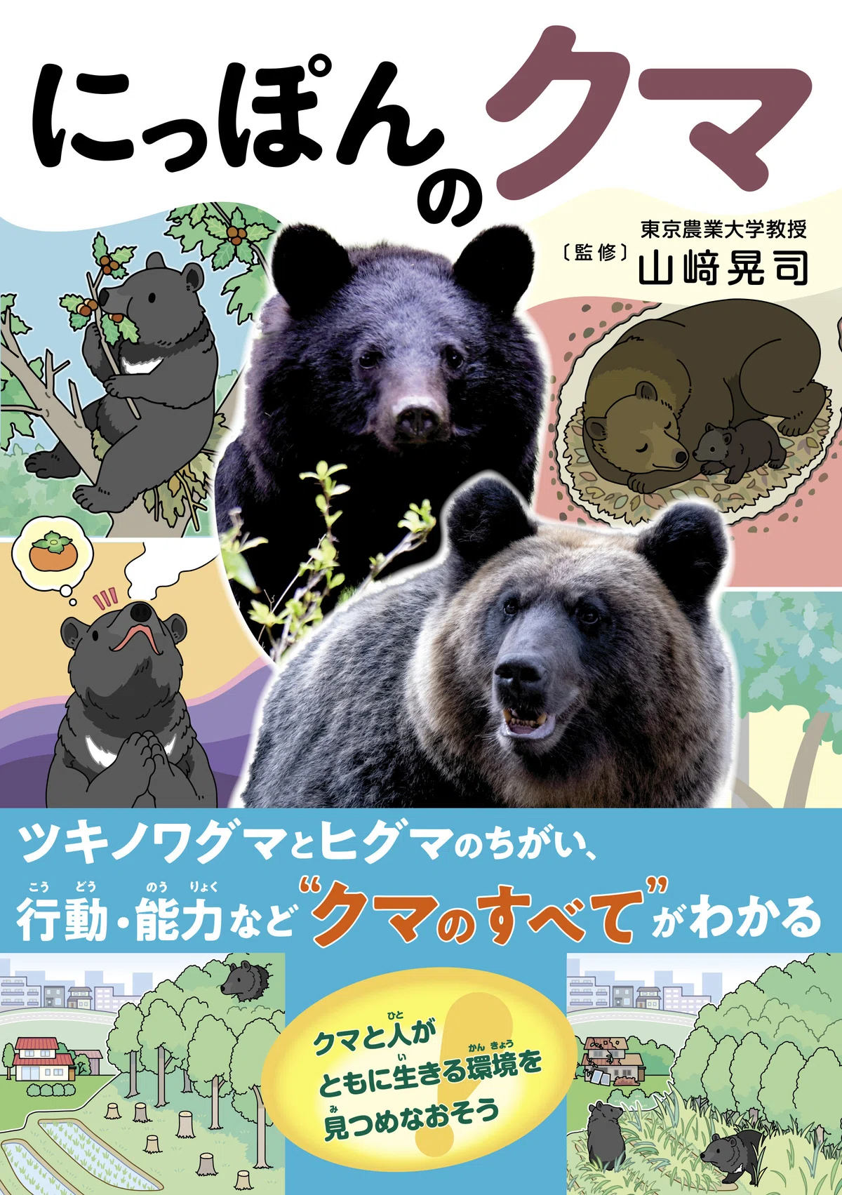 ツキノワグマとヒグマの違い、行動・能力など“クマのすべて”がわかる 