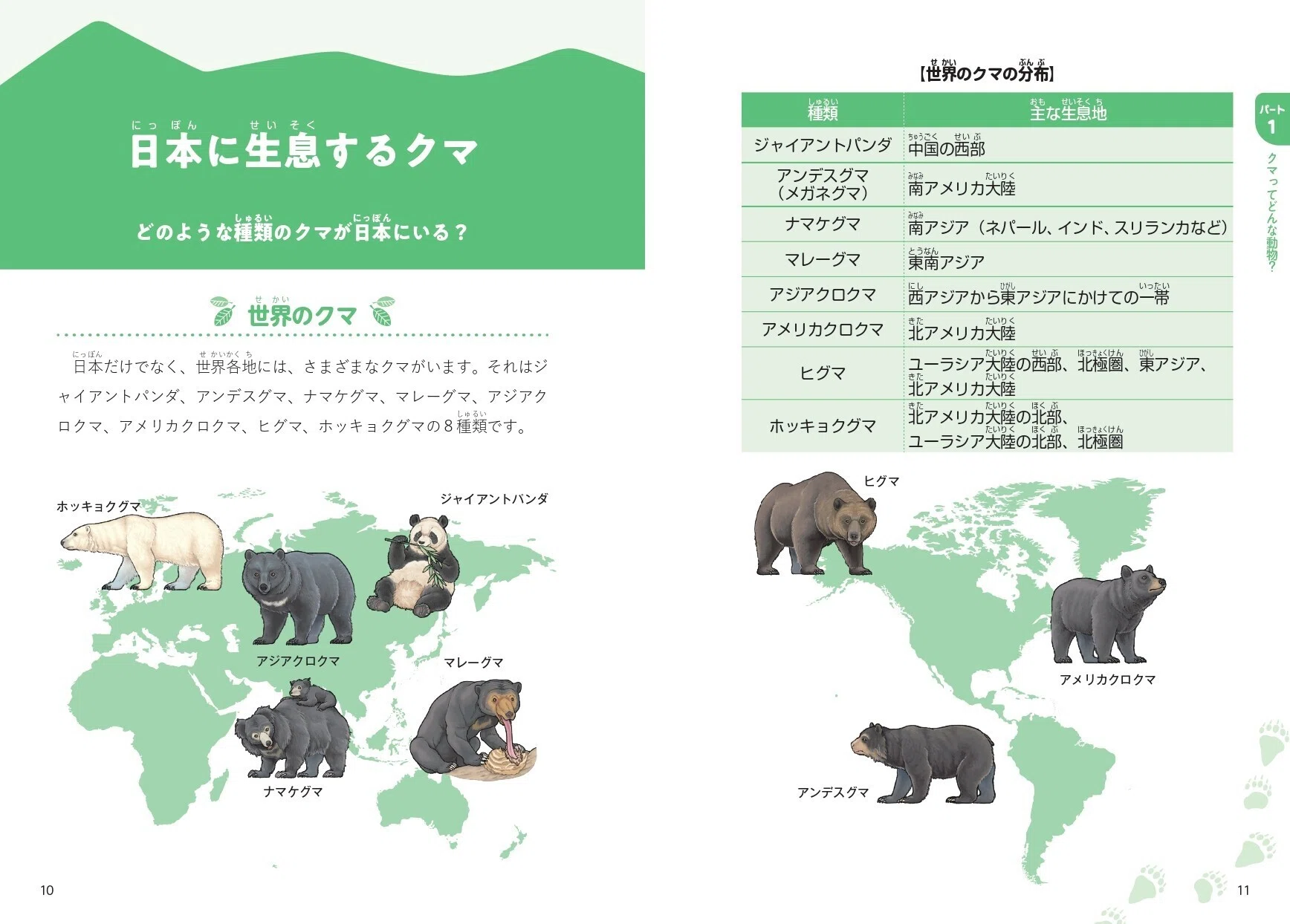 ツキノワグマとヒグマの違い、行動・能力など“クマのすべて”がわかる