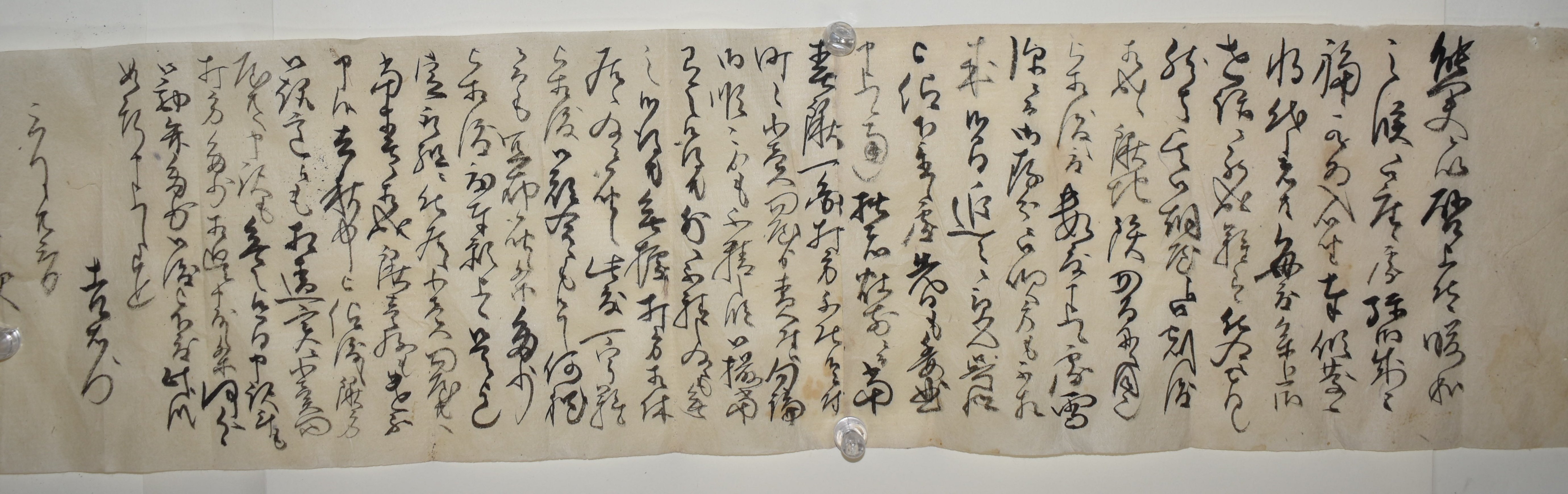 我々の予想を超える「古文書」のセカイ｜東京農工大学 先生大図鑑