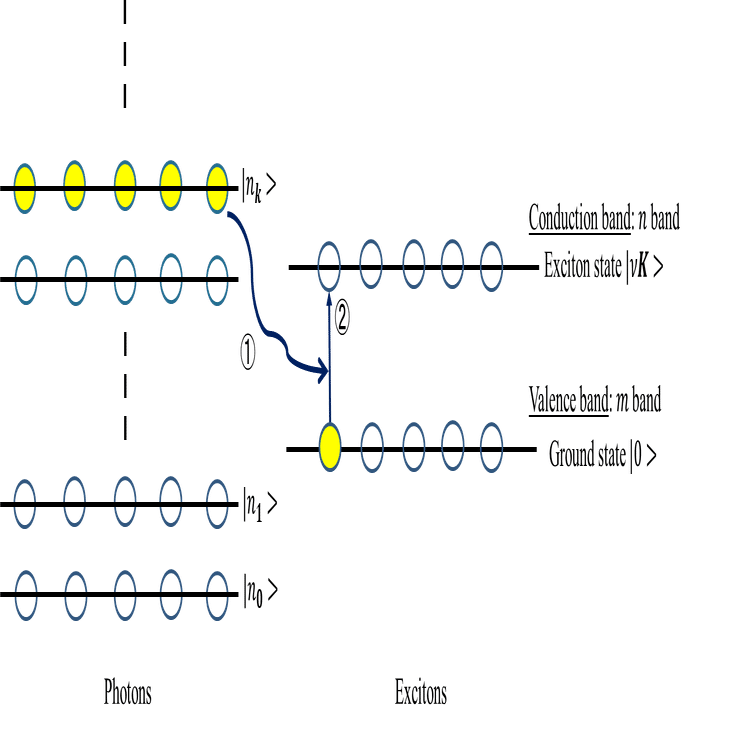 光と物質の相互作用_M1輪講@横浜国立大学_光と物質の量子論研究室｜光