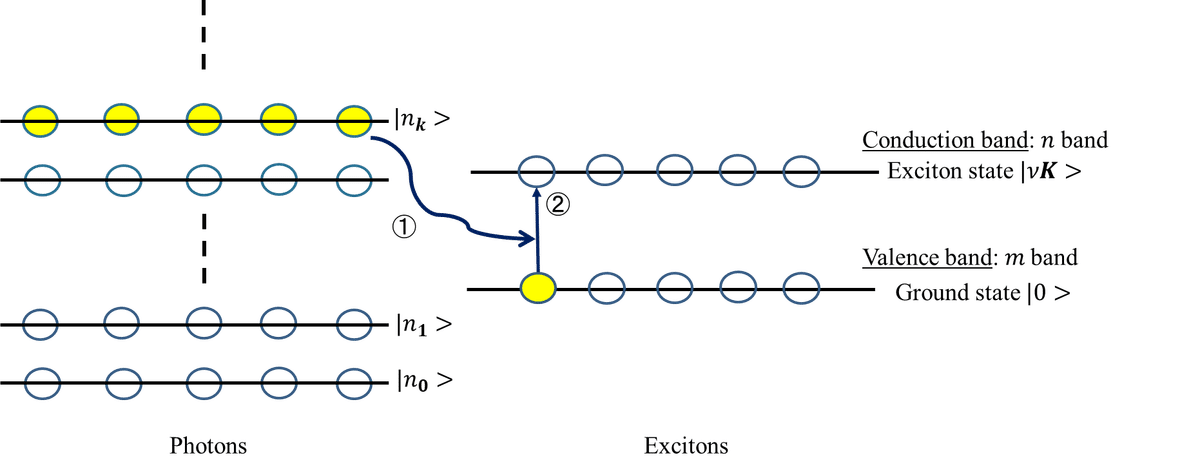 光と物質の相互作用_M1輪講@横浜国立大学_光と物質の量子論研究室｜光