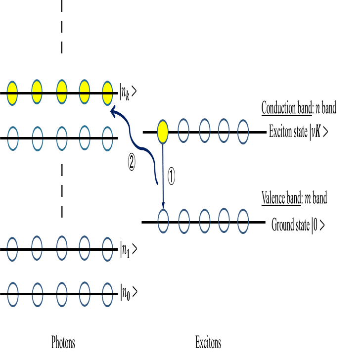 光と物質の相互作用_M1輪講@横浜国立大学_光と物質の量子論研究室｜光