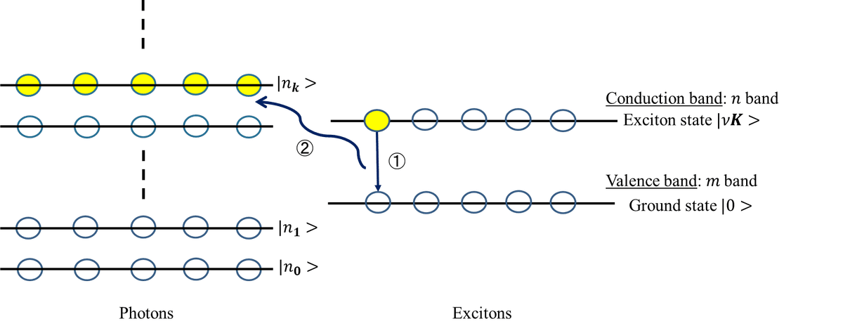 光の量子論 41X9hVkUlkL._AC_UL210_SR210,