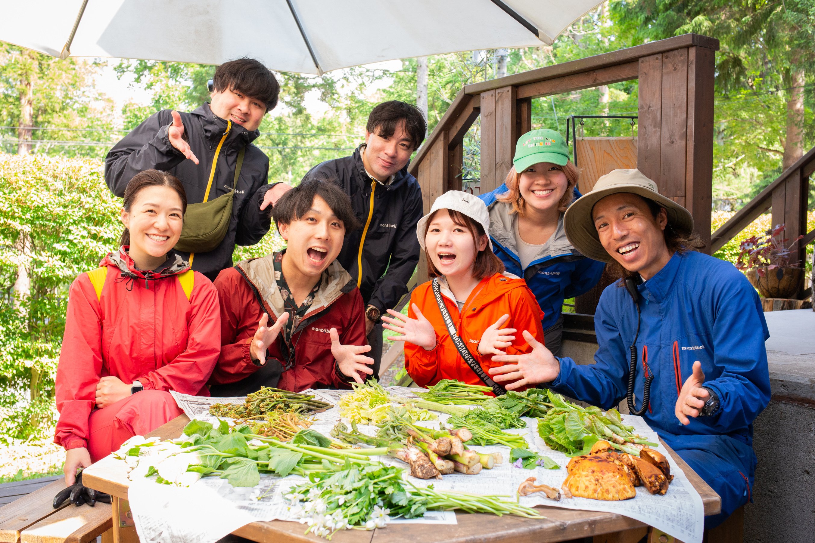 春、来る！LAMPの山菜採りツアーが最高なのでおすすめさせてください