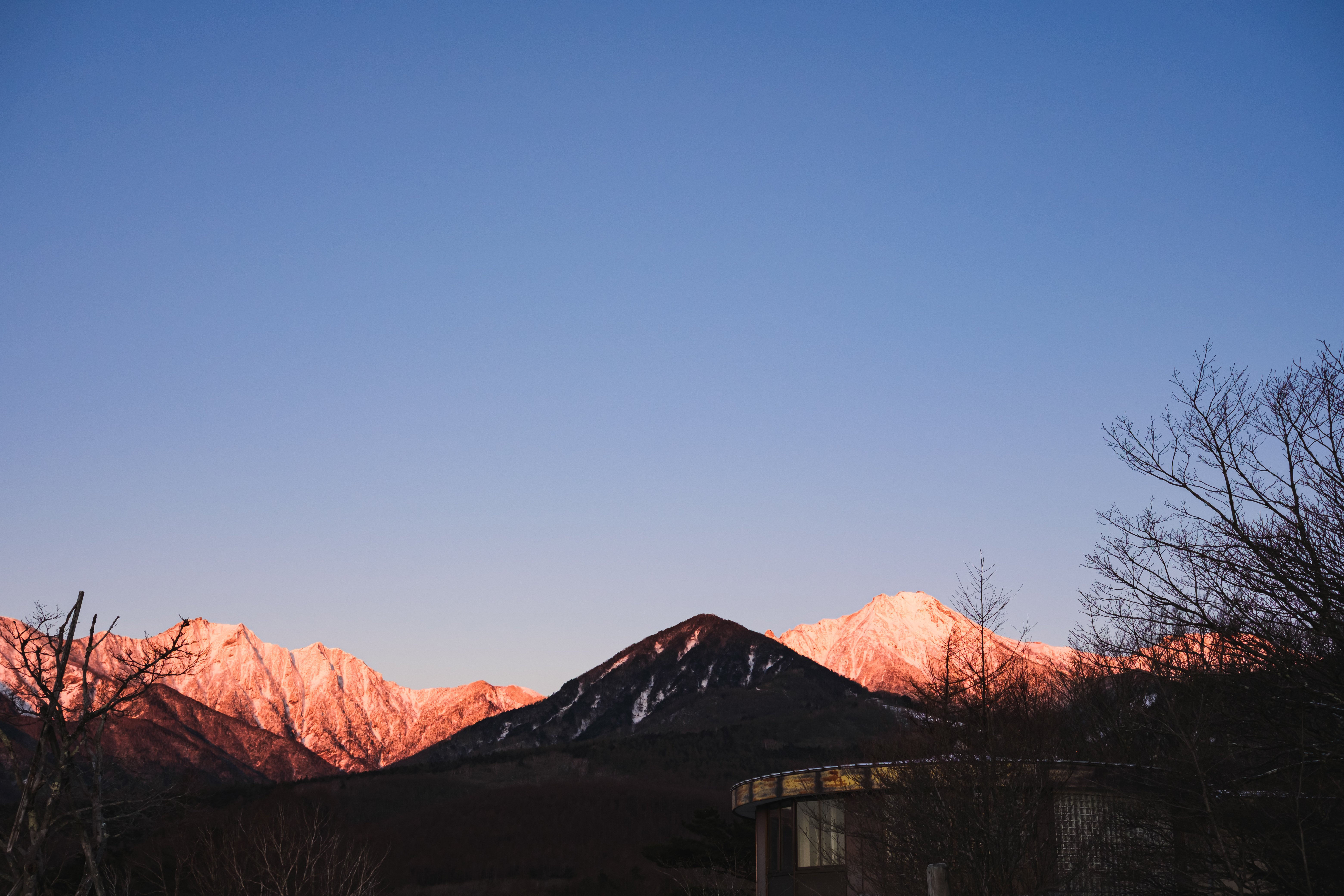 作例大量】X-M5で撮影した写真を淡々と貼っていく。🎞️フィルム