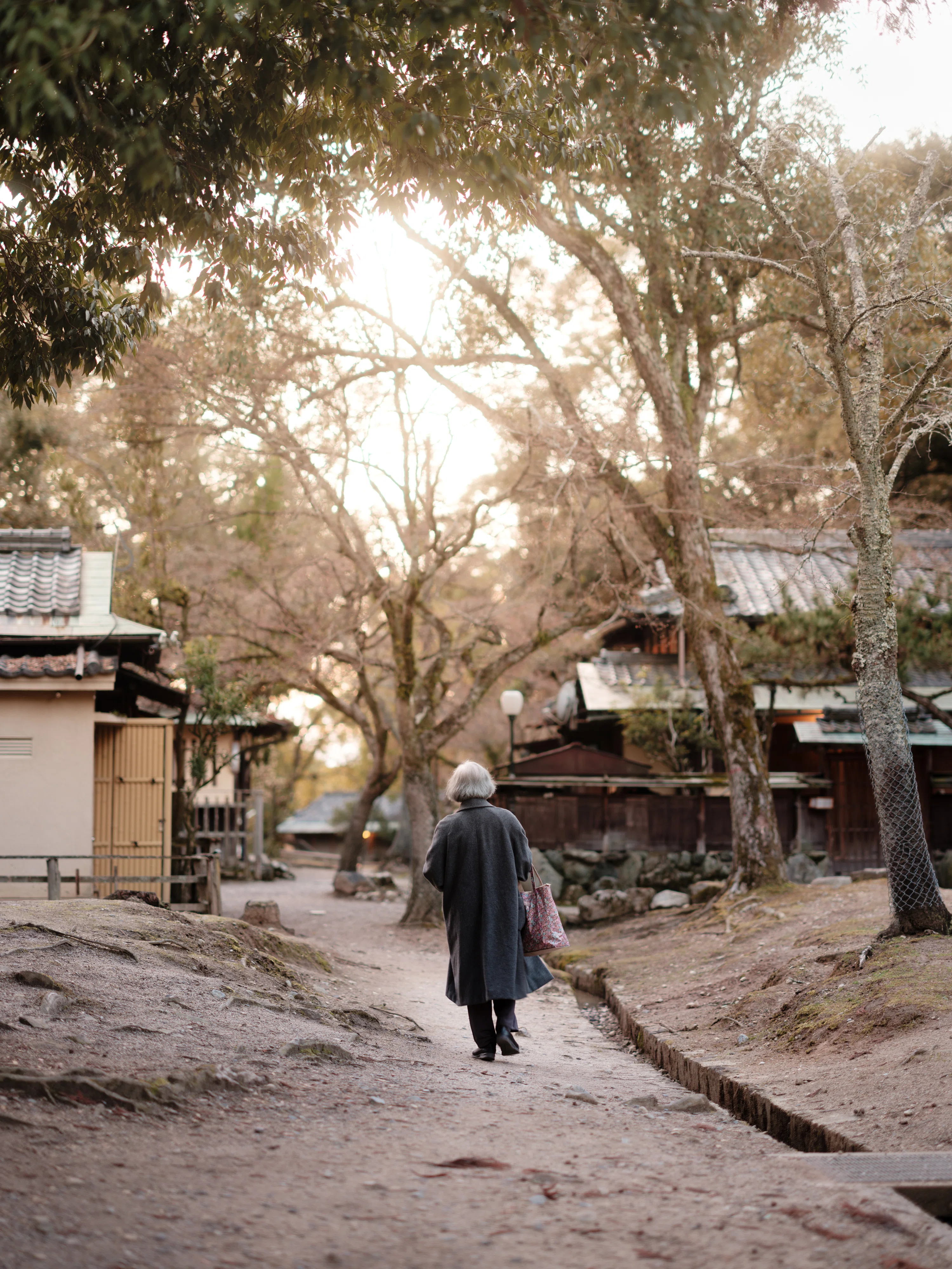 中判カメラが変えた、私の写真 【後編】｜kou