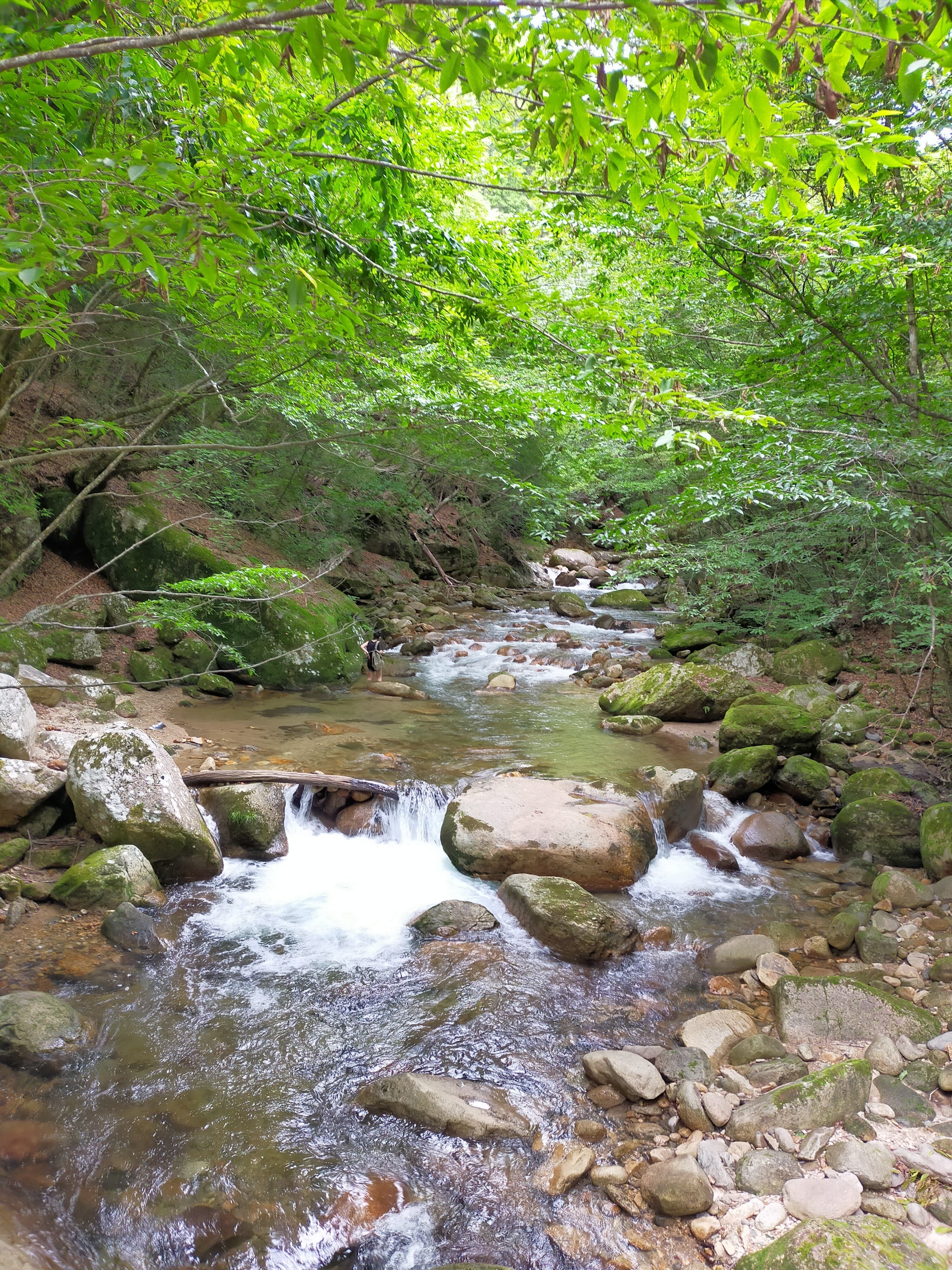 山梨ラジウム温泉増富の湯のこととか｜朝倉寸々六