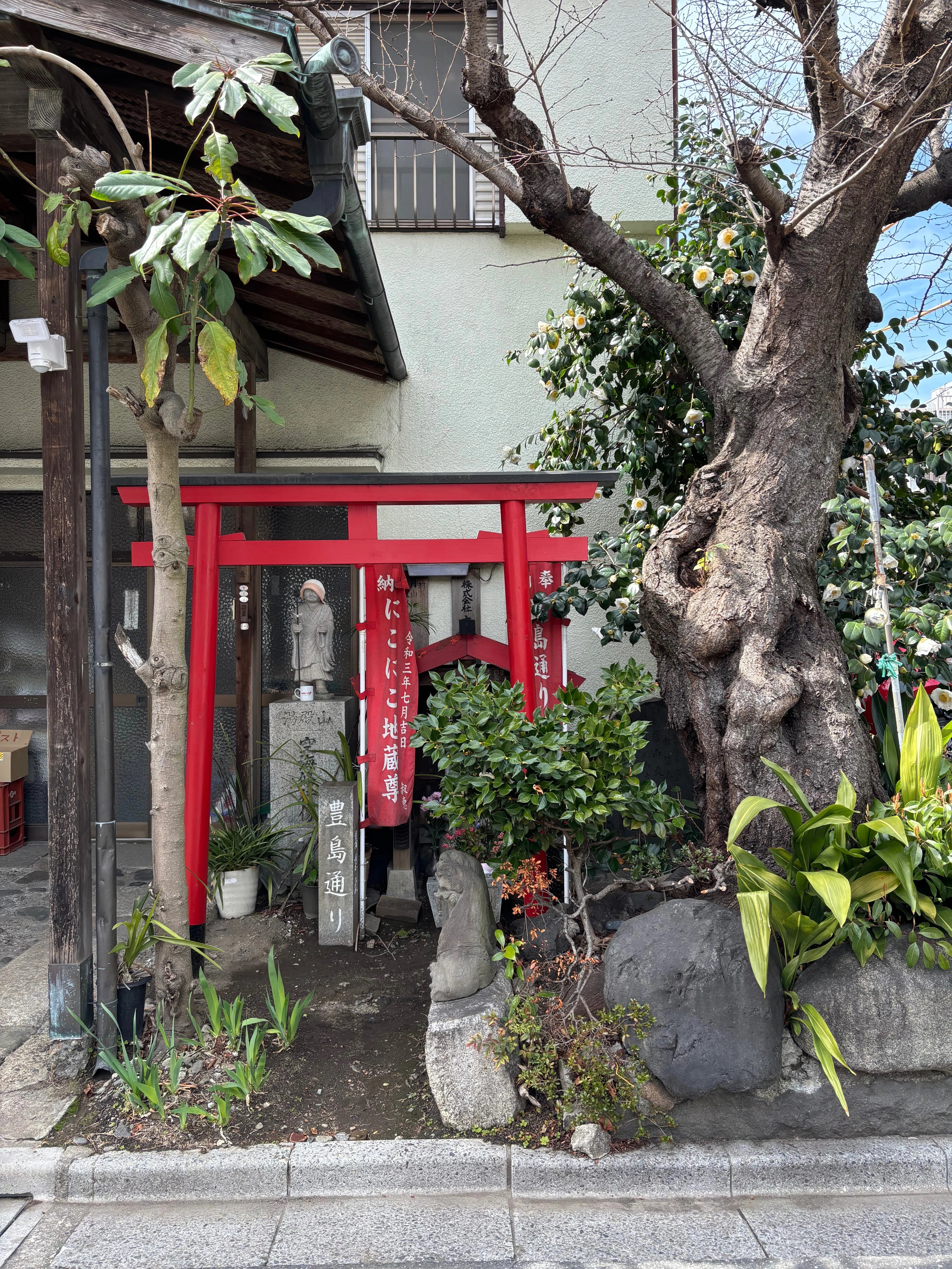 根津神社から谷中、町屋へ｜yumiパンダ