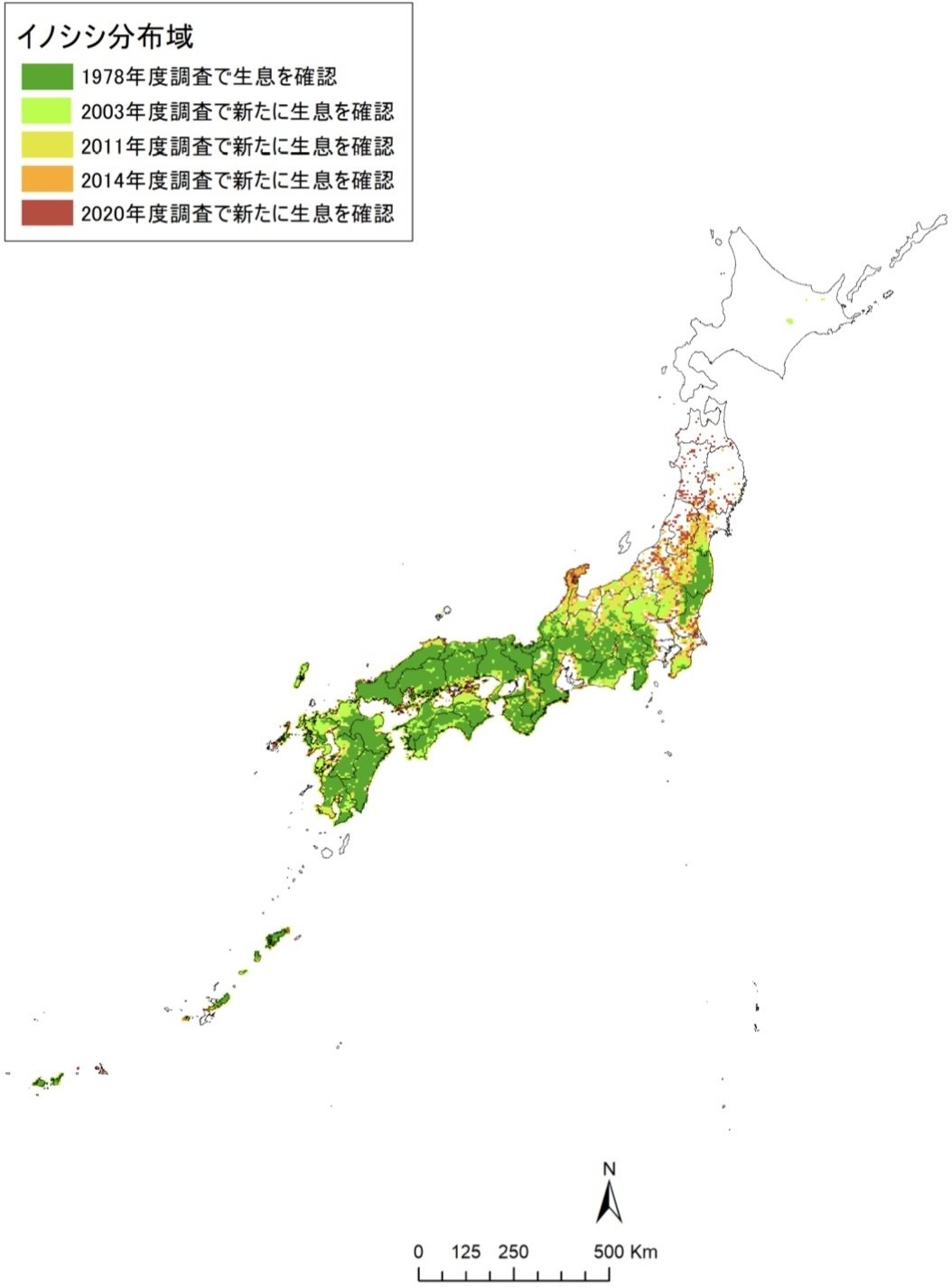 初心者必見🔰】~狩猟鳥獣について知ろう（大型獣編）~｜熊っち🐾【単独