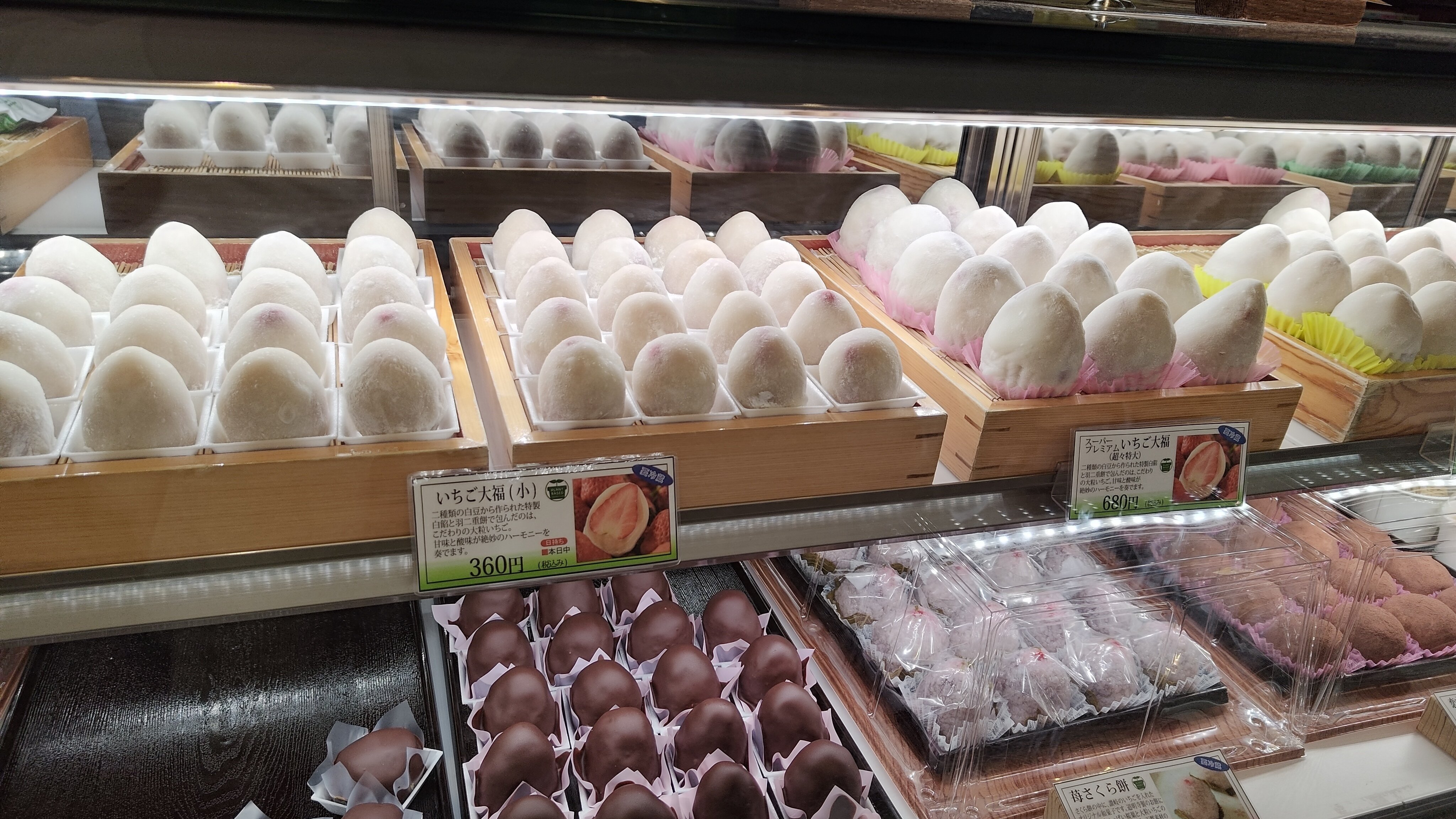 三毛猫さん♡いちご大福 三毛猫さん♡いちご大福