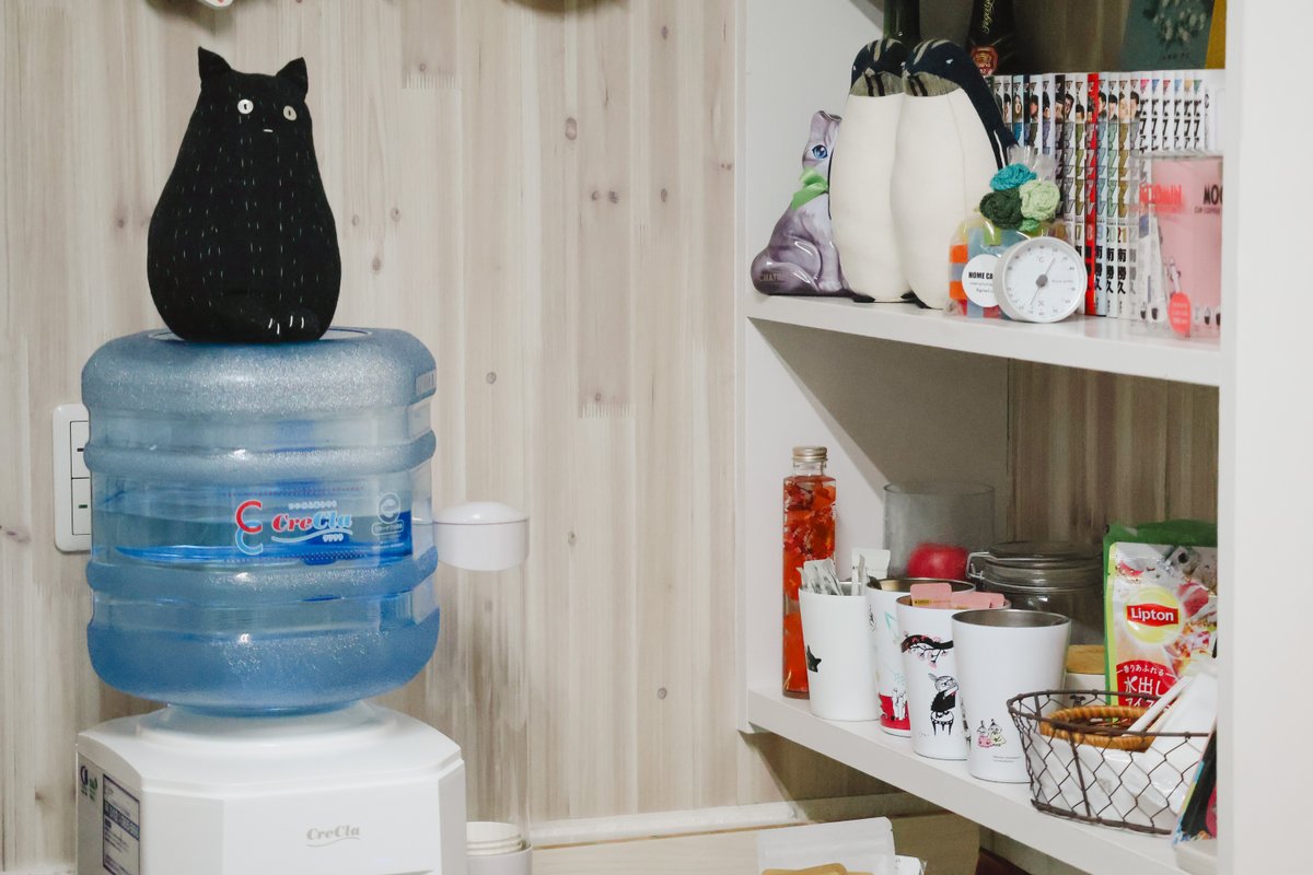 「蒼木陣、保護猫カフェへ行く！＃2」