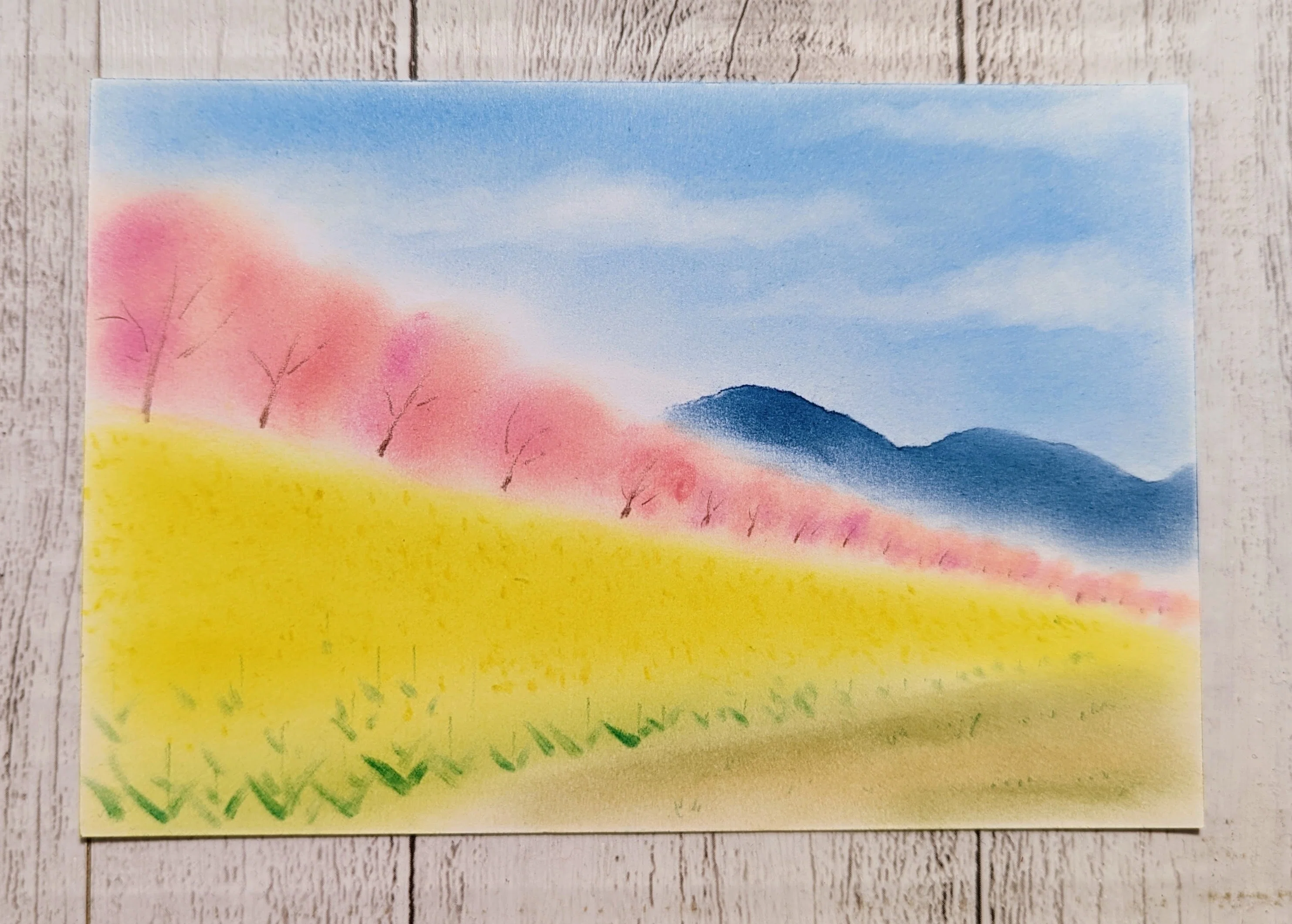 桜並木と菜の花の絵を自宅でパステルアートで描いてみませんか？｜成澤