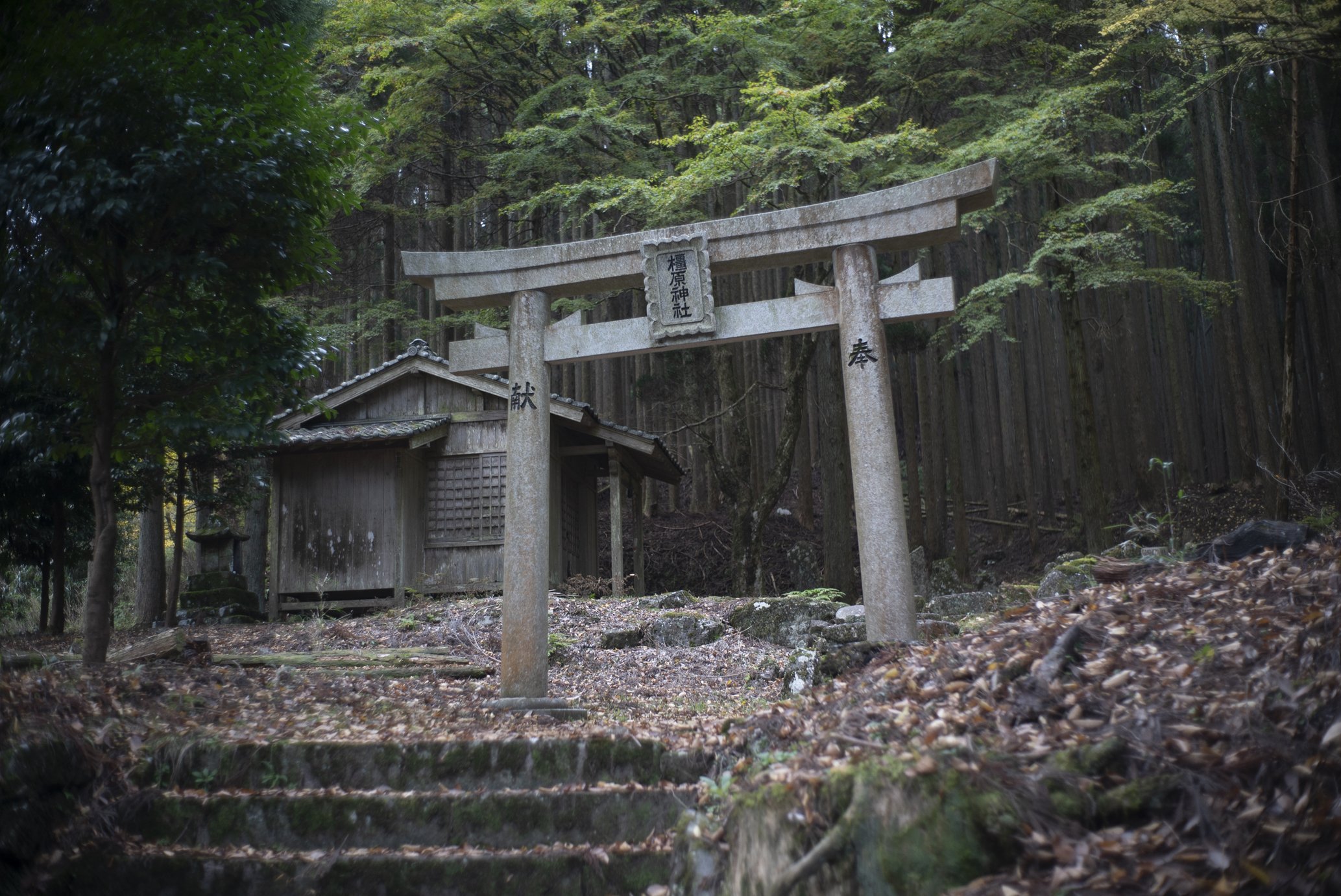 神様トリップ#2 福岡・英彦山神宮｜藤代冥砂
