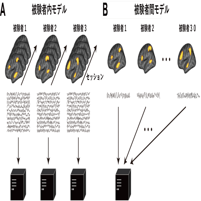 NeuroAIのイロハ：脳活動への計算モデルアプローチ｜アラヤシキ