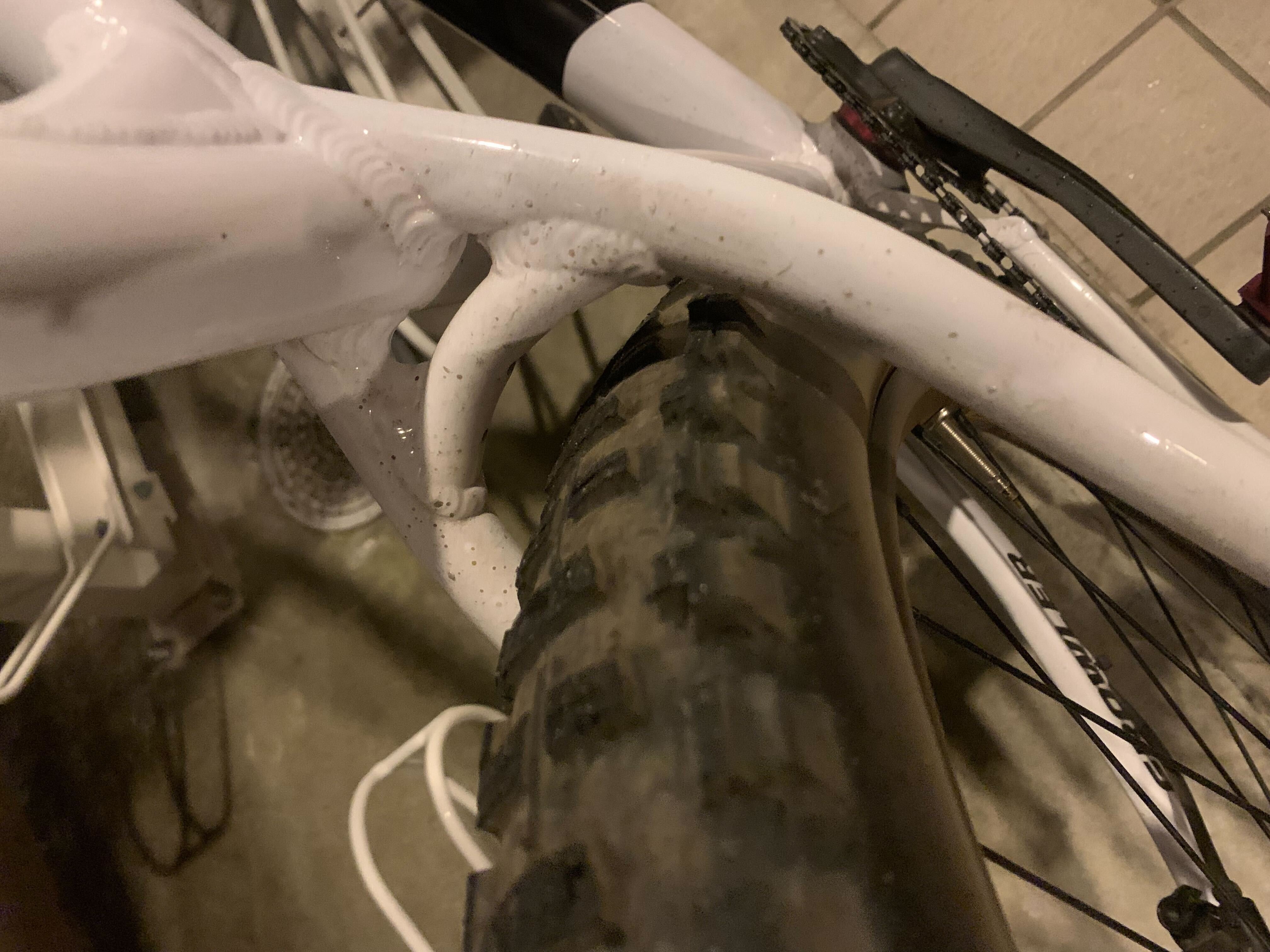 ハードテイルを分析する｜マタタビ.B.日和