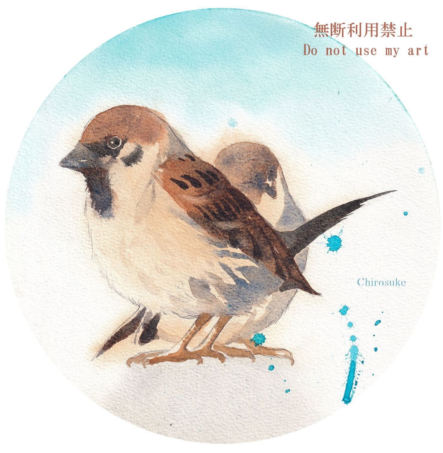 鉛筆画 雀 スズメ 関岡 東生 | 《スズメ（雀）》 他の#小鳥 の大きさを説明するの