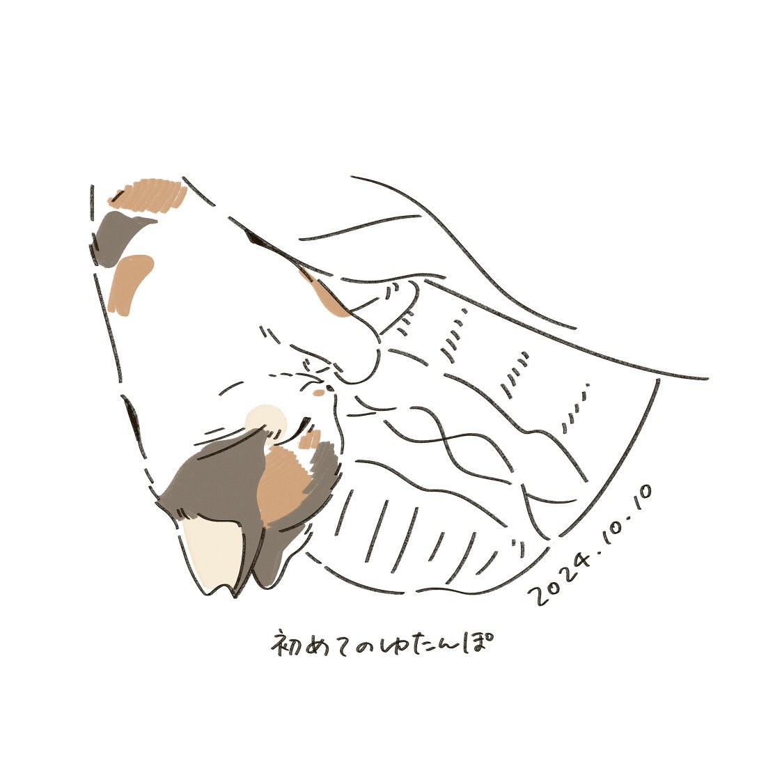 さくら耳の猫のおはなし｜いつきゆう｜イラストレーター