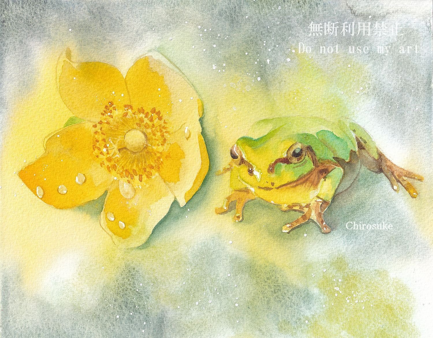 世界カエルの日（水彩画）⚠️閲覧注意｜ちろ