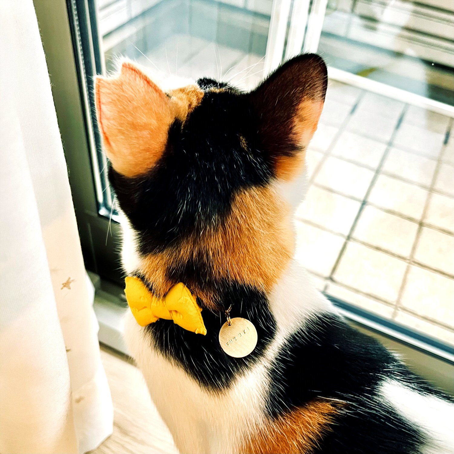ご確認ページ　左耳の先ピンクに　あと全体的に明るく彩色+猫部分をツヤ出し ご確認ページ 左耳の先ピンクに あと全体的に明るく彩色+